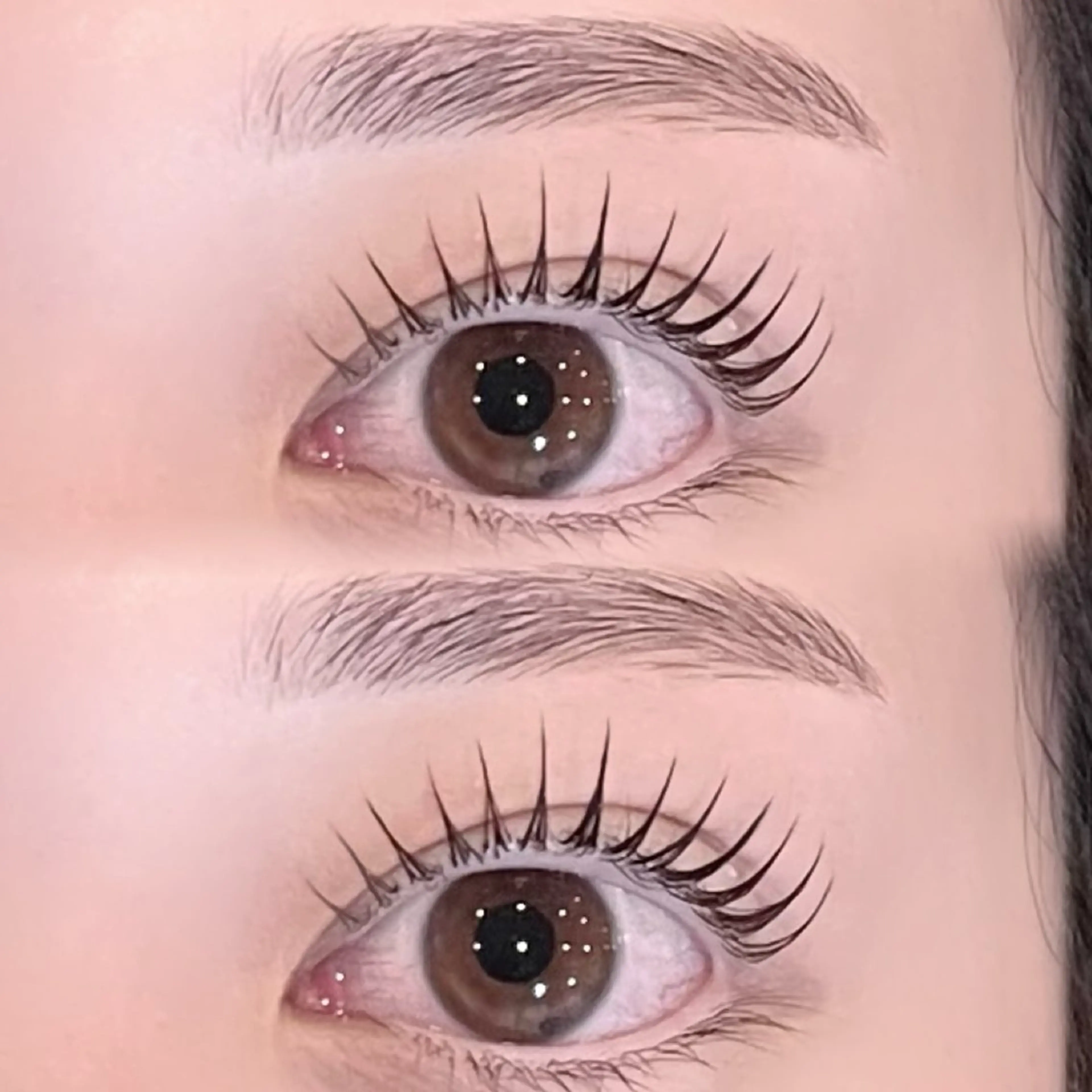 【人気No.1】 🌿美眉スタイリング&パリジェンヌ or まつ毛パーマ🌿〈間引き+¥500〉の写真