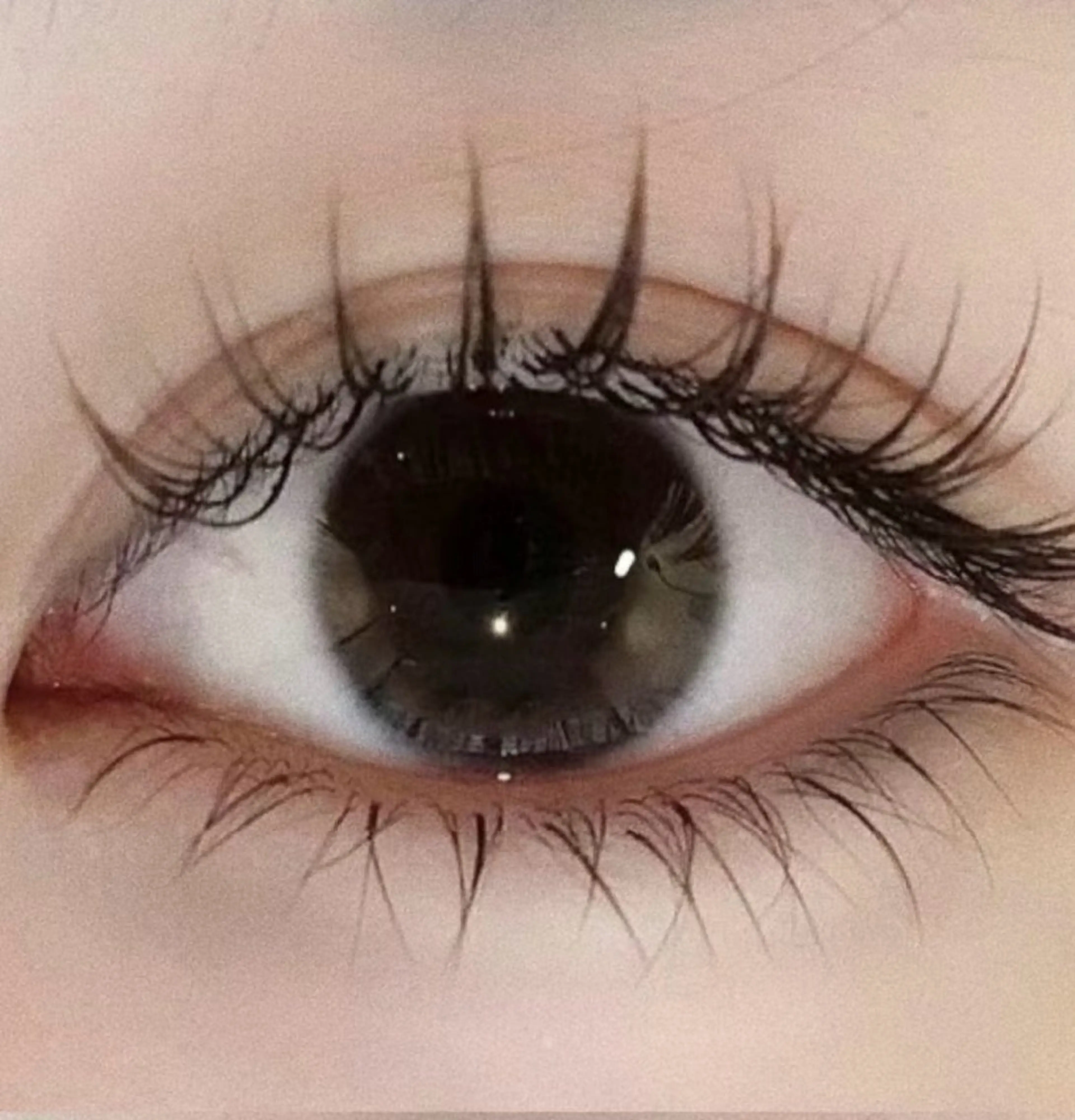 ボリュームラッシュ140束の写真