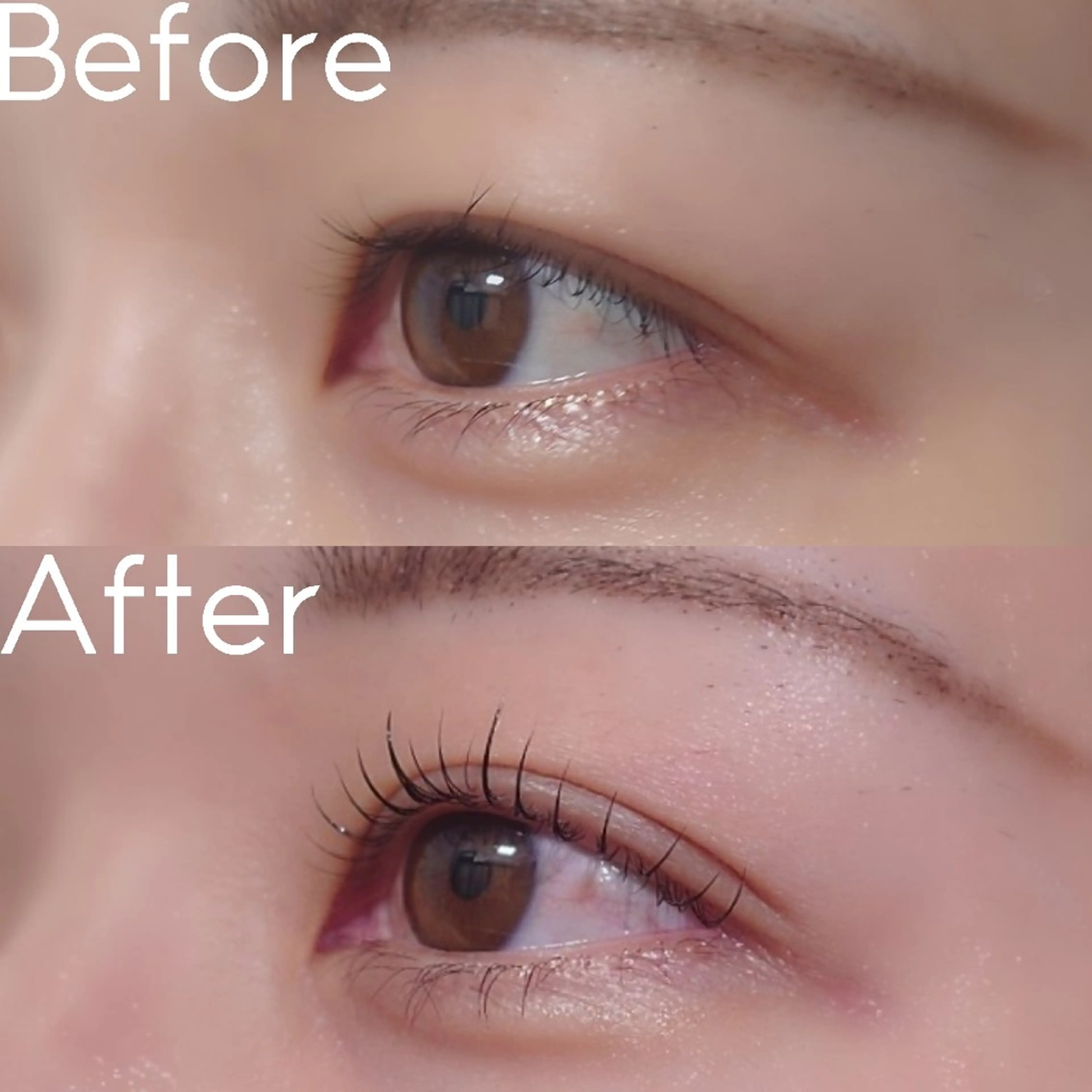 マツエク・マツパ 一重×まつ毛パーマ tico松戸駅前 🌱shiori🌱のヘアスタイル