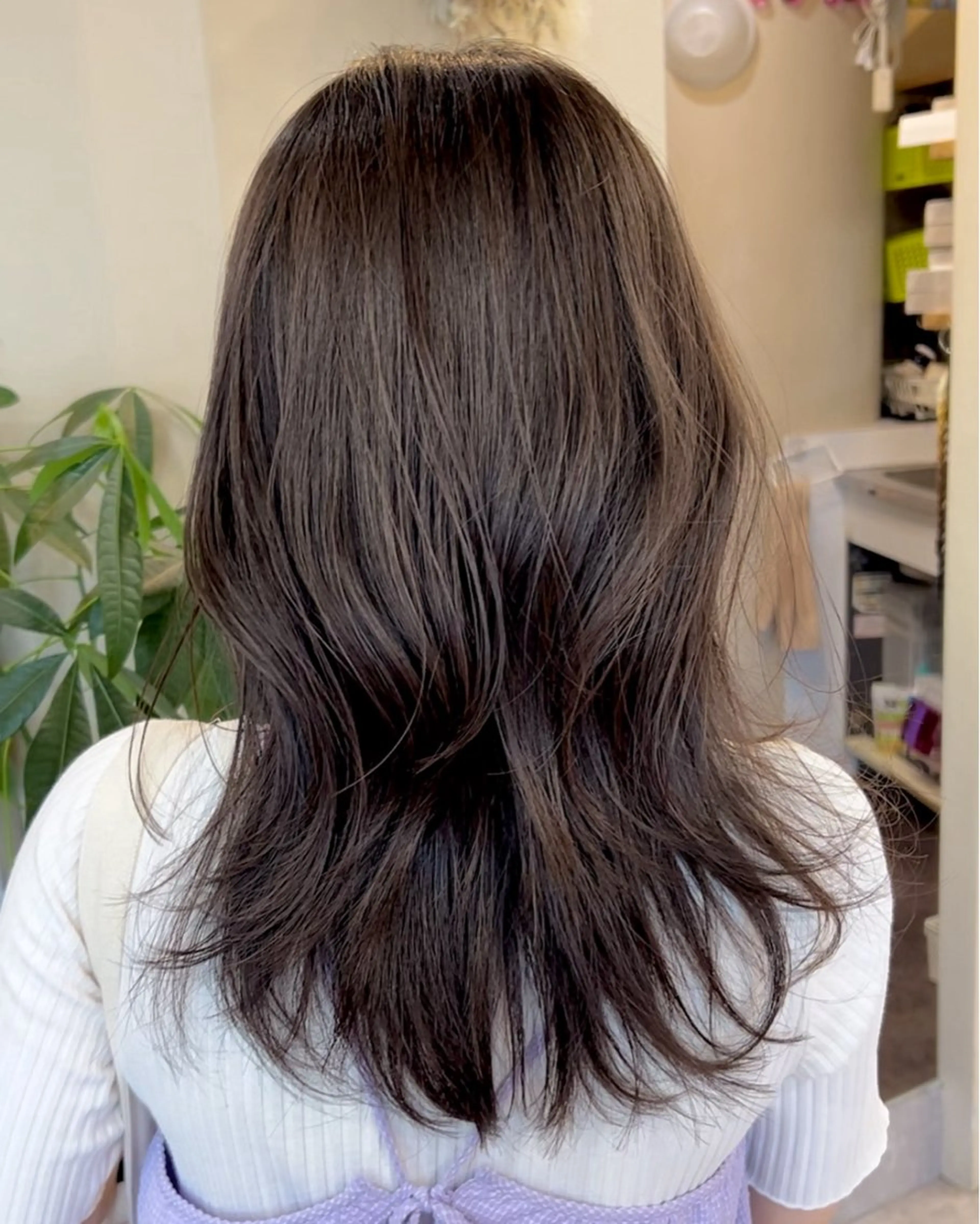 セミロング カラー レイヤーカット ヤスザトアヤノ /レイヤー/オリーブのヘアスタイル