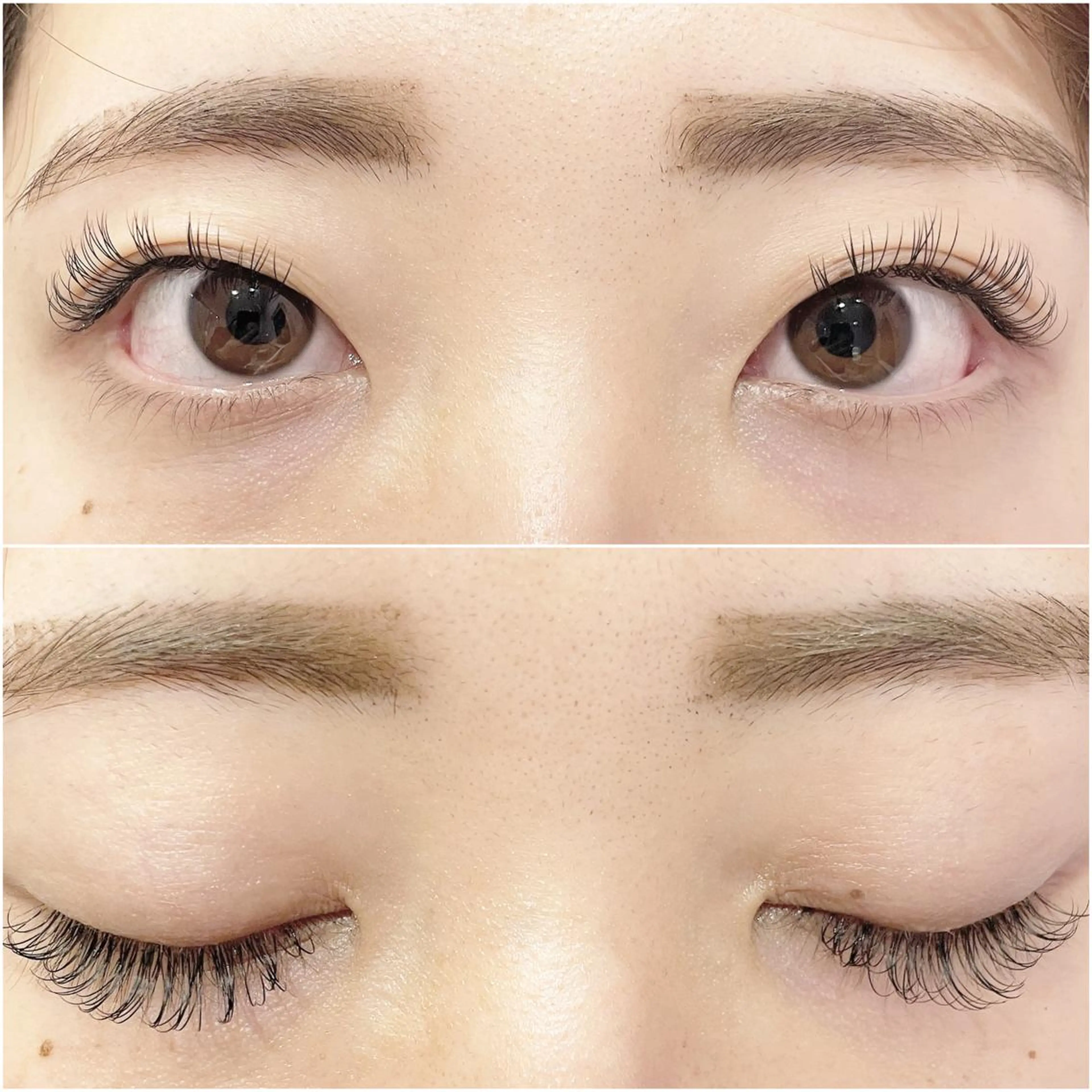 マツエク・マツパ Dカール セーブル トップアイリスト やつだ🐩のマツエク・マツパデザイン