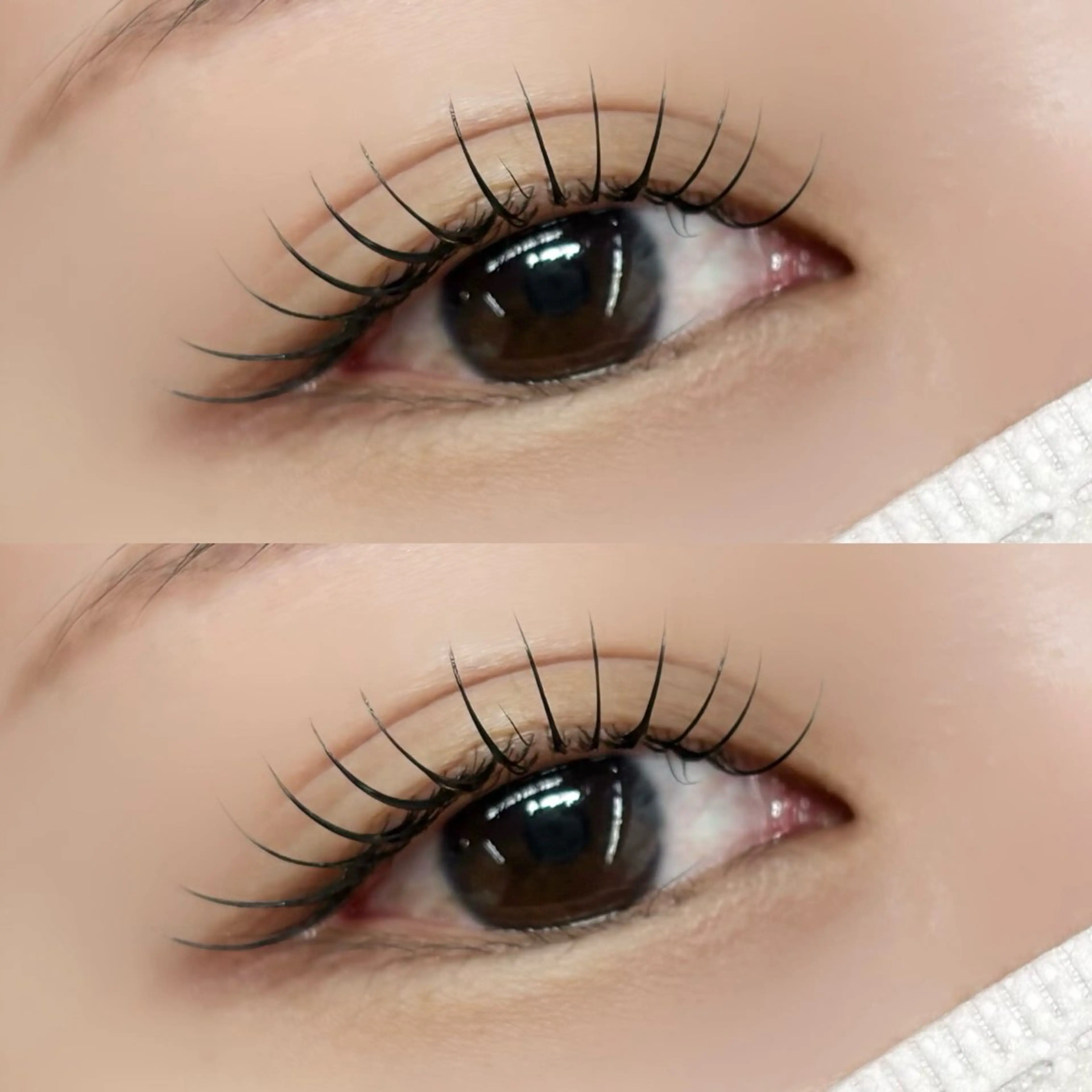 マツエク・マツパ マツエク 【LILY】伊沢/ バインド/パリ/エクのマツエク・マツパデザイン