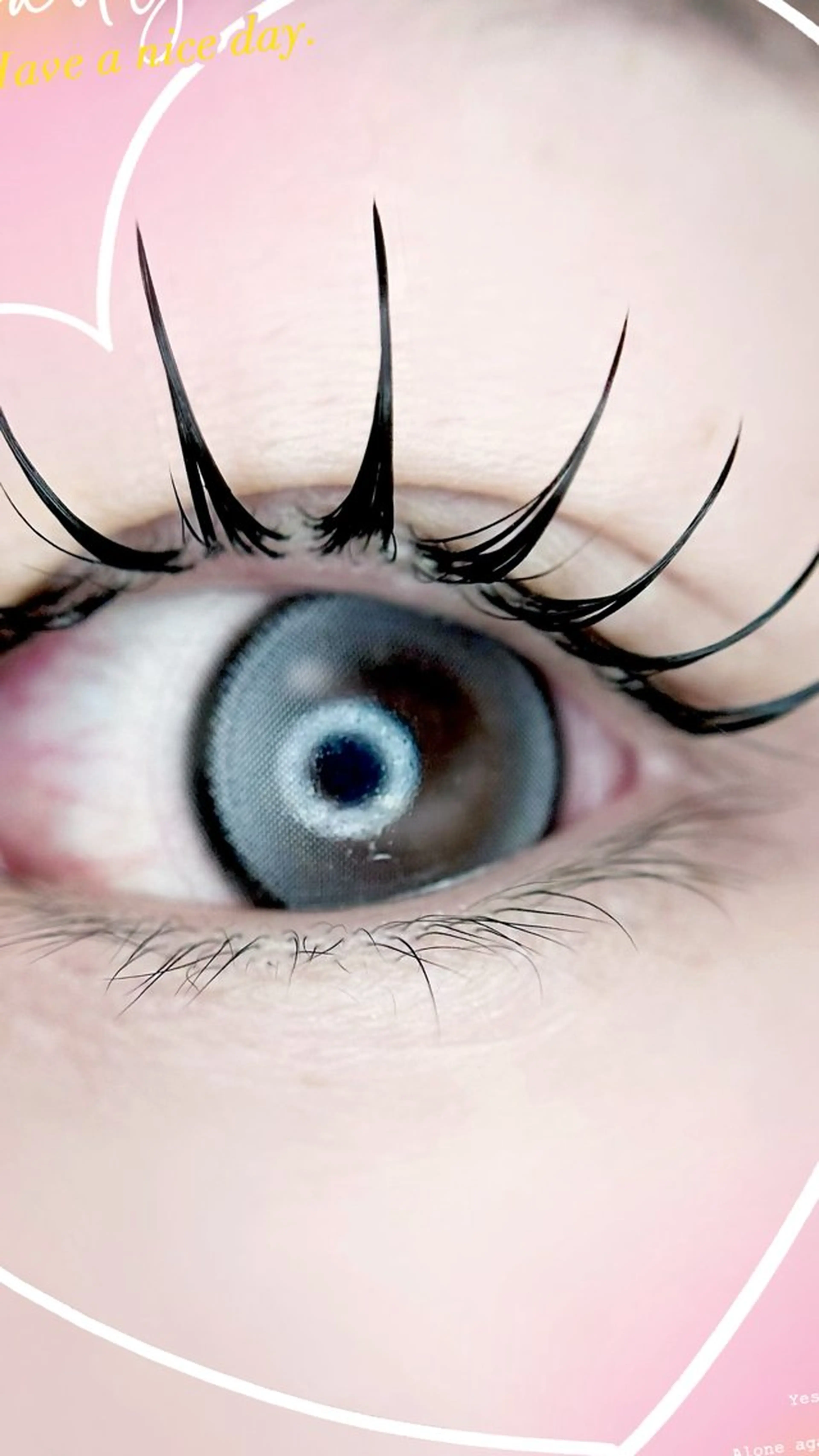 マツエク・マツパ フラットラッシュ マツエク eyelist. mizuki🐈‍⬛の眉毛・アイブロウイメージ