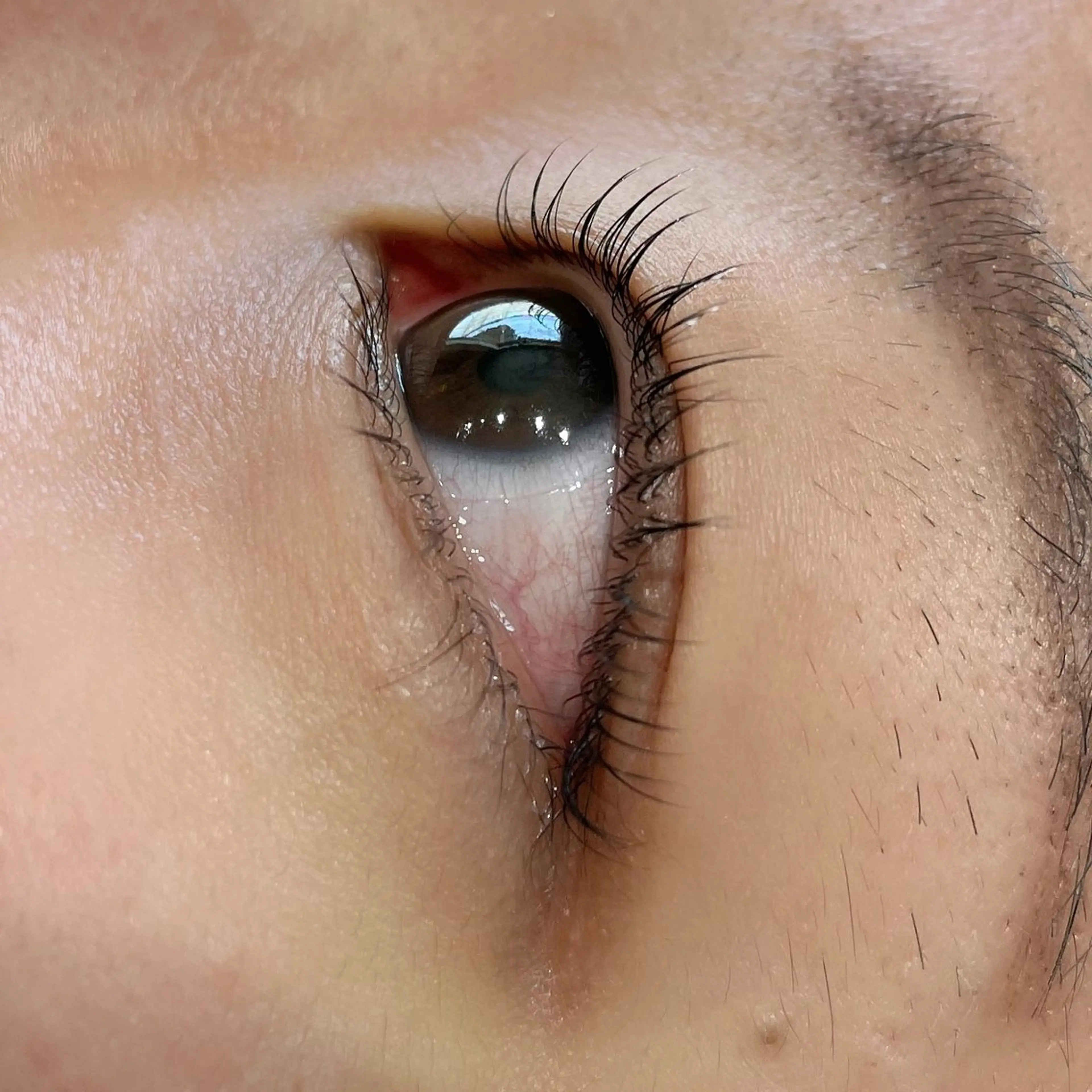 マツエク・マツパ マツパ Koti sakai mayuのマツエク・マツパデザイン