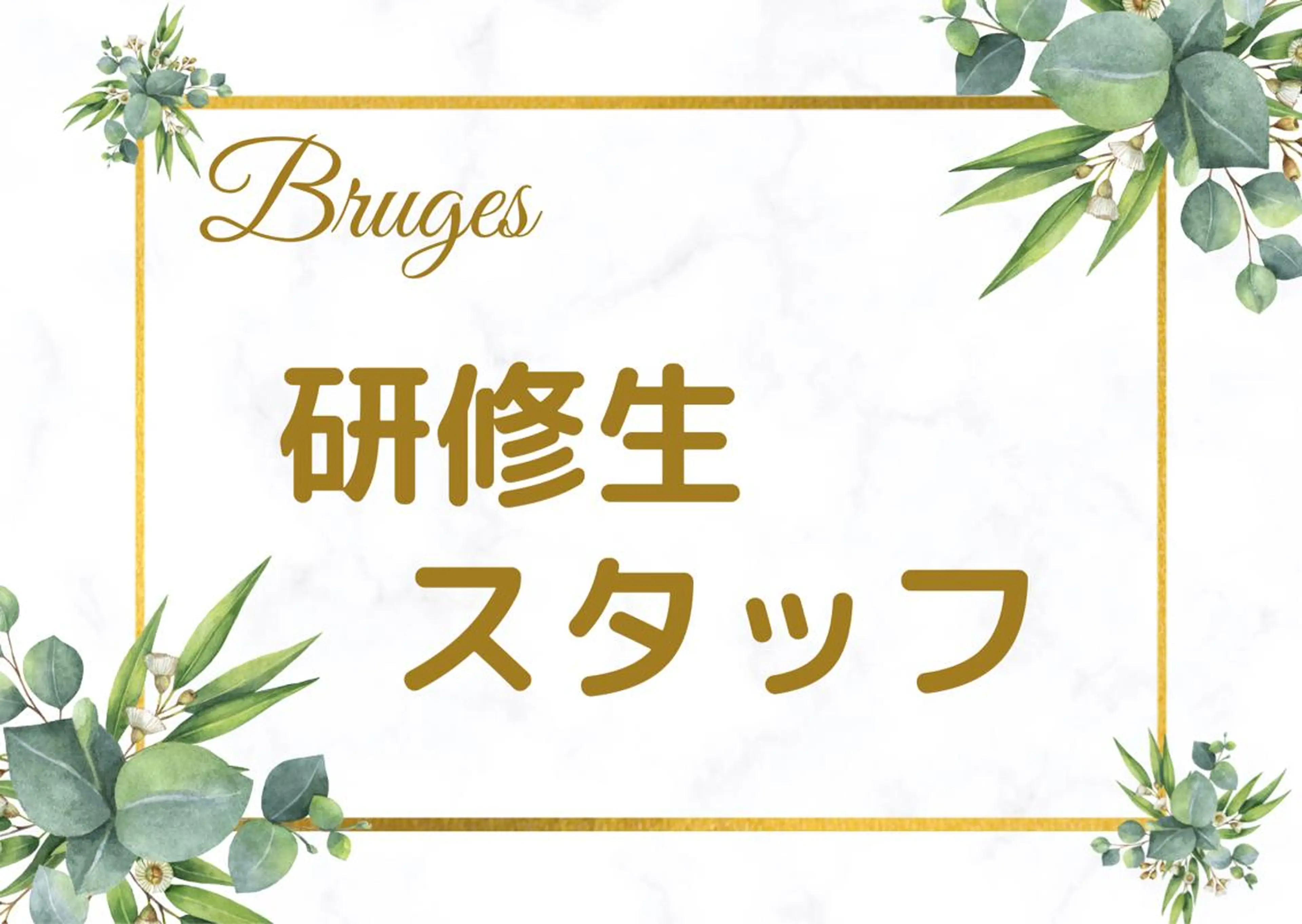 マツエク・マツパ Bruges 自由が丘のマツエク・マツパデザイン