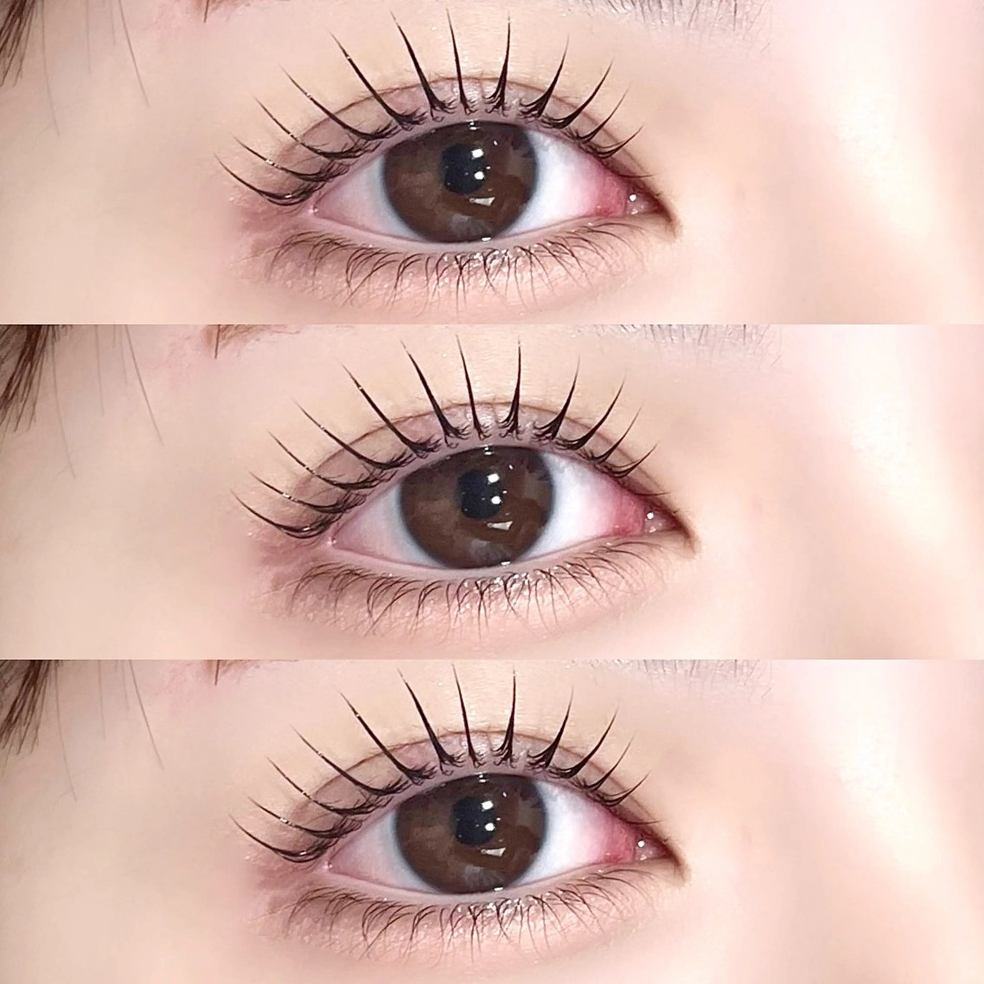 【年末SALE🎀 】パリジェンヌラッシュリフト or まつげパーマ👀🤍の写真