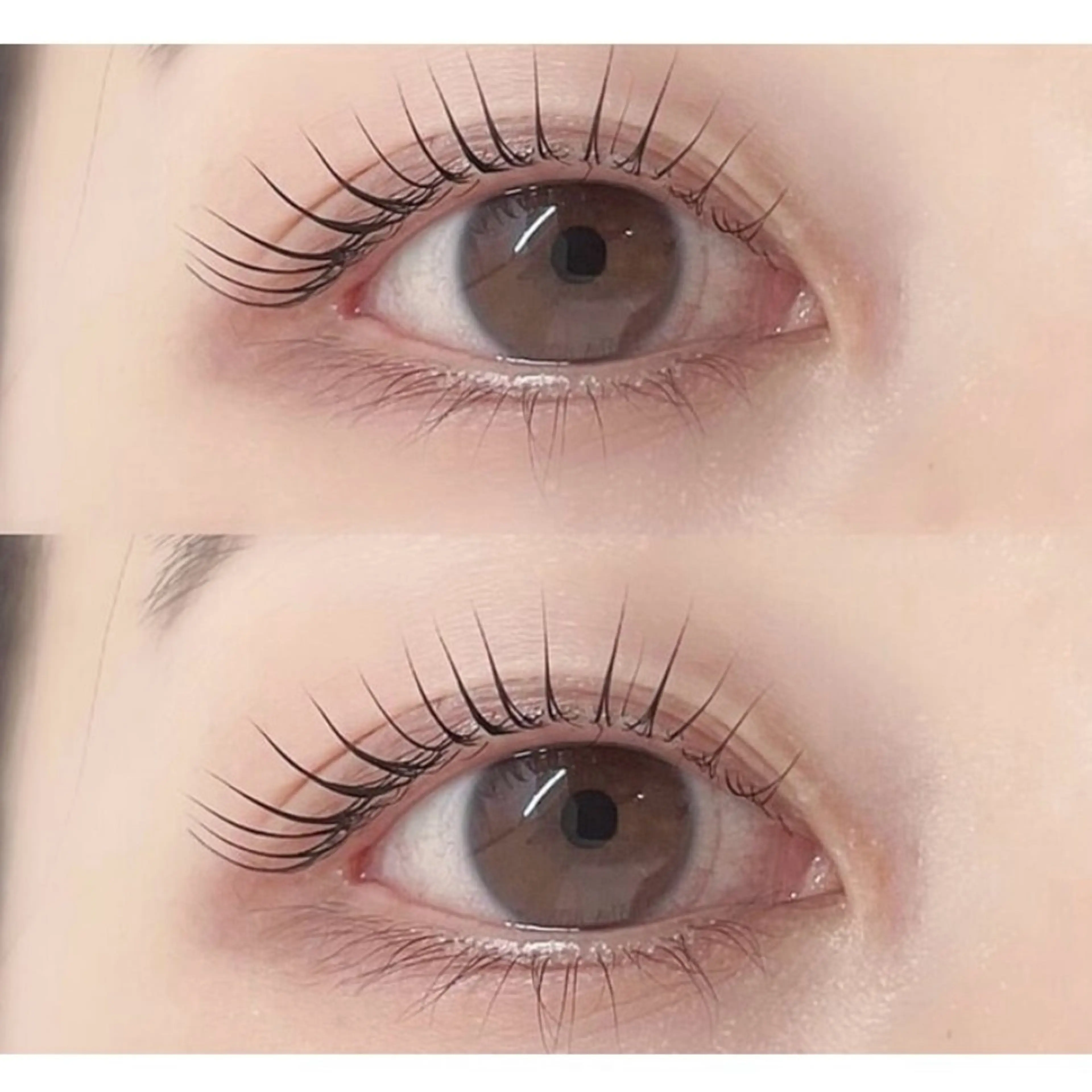 パリジェンヌラッシュリフトorまつ毛パーマ¥¥6600/天神の写真