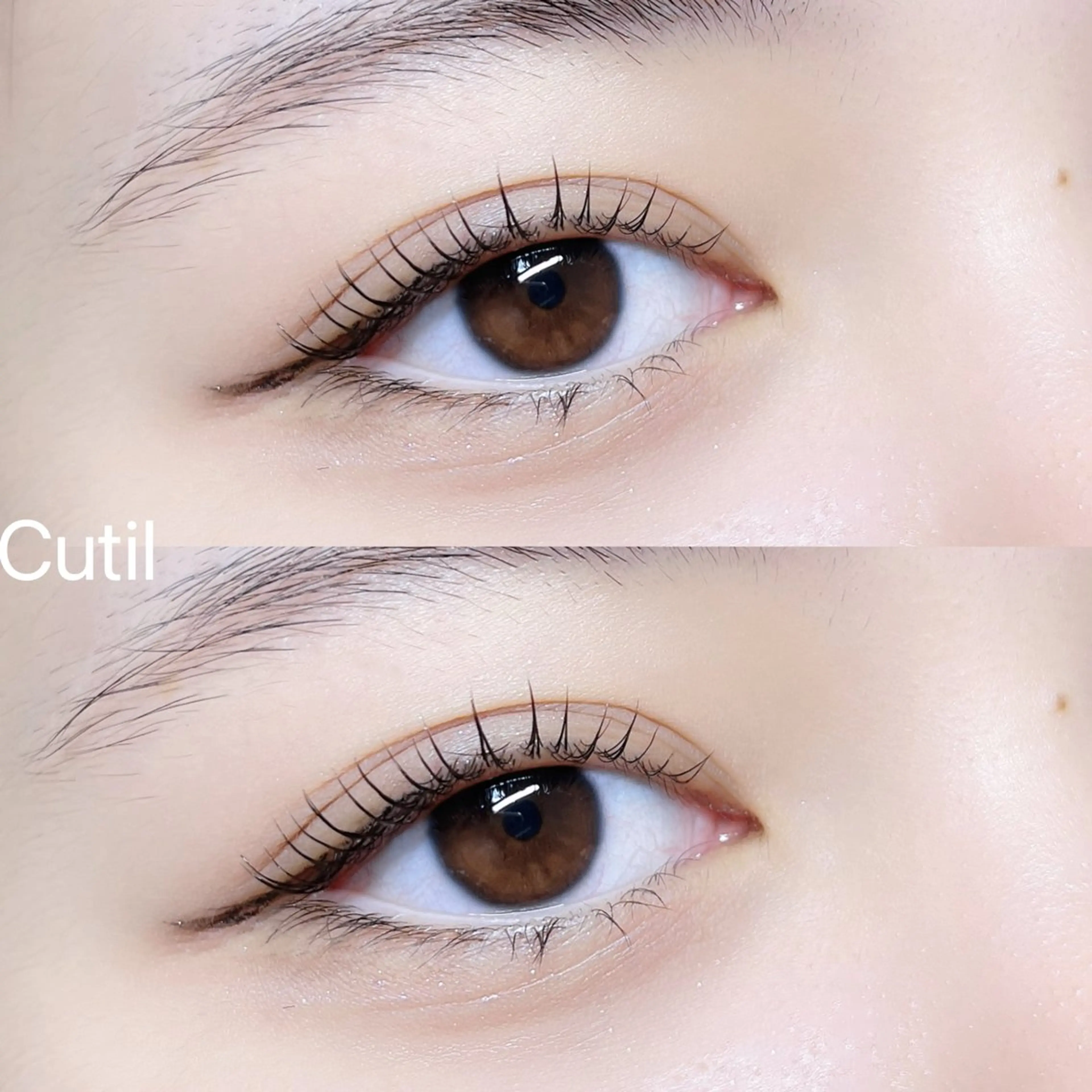 マツエク・マツパ Cutil . eyelash 🍊のマツエク・マツパデザイン