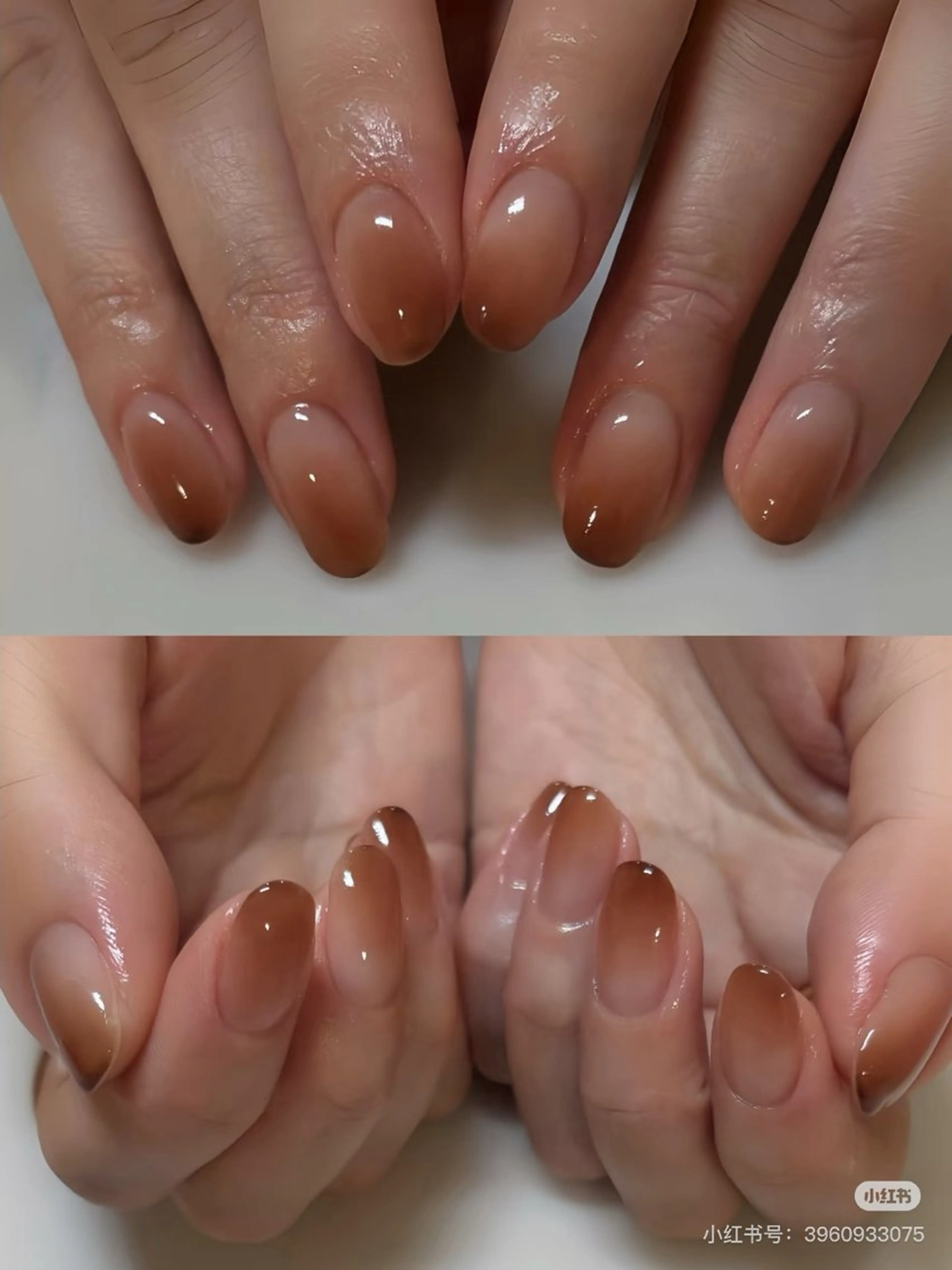 グラデーションぼかしの写真