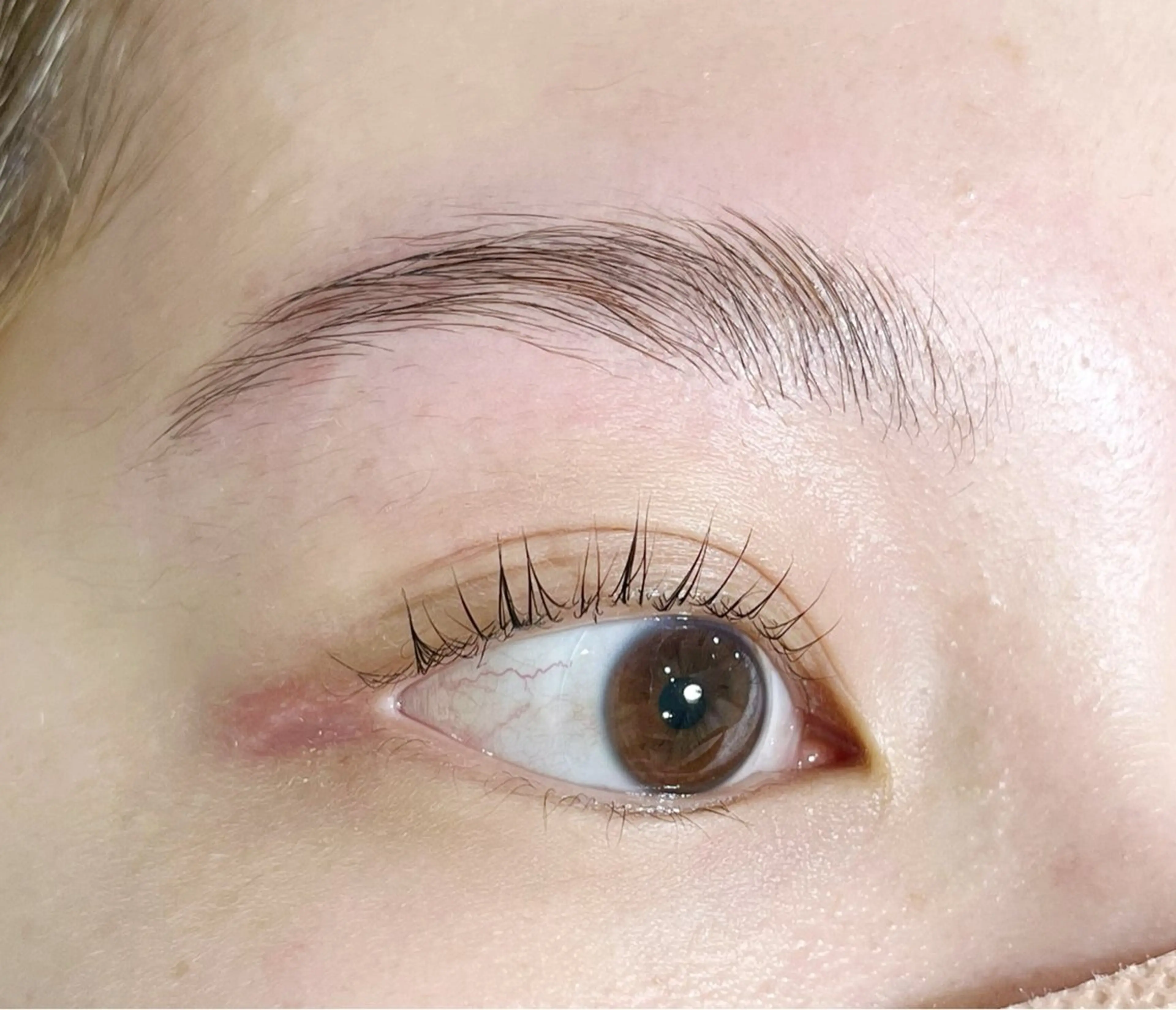 アイブロウ EYELA調布 高橋のマツエク・マツパデザイン