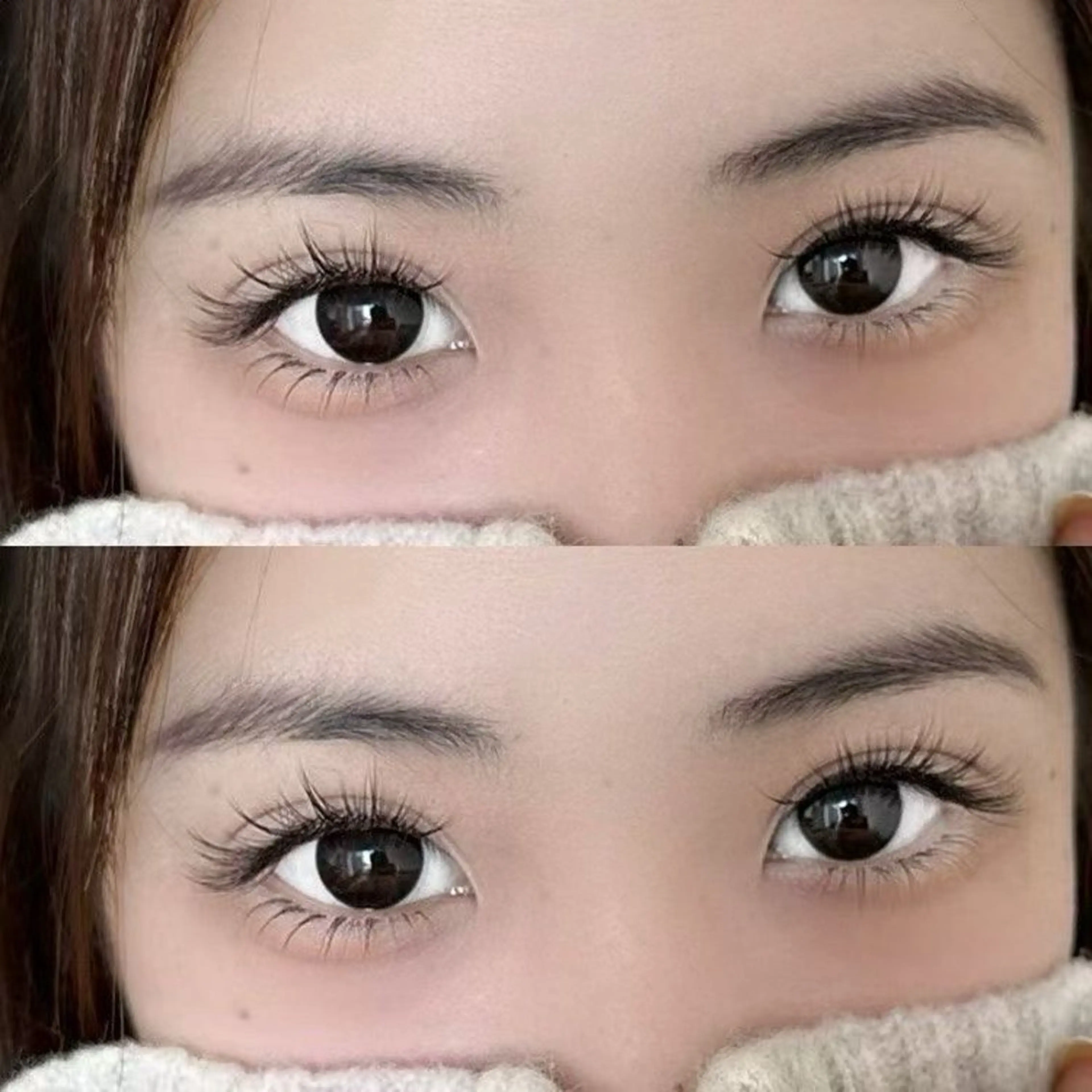 ワンホン100本の写真