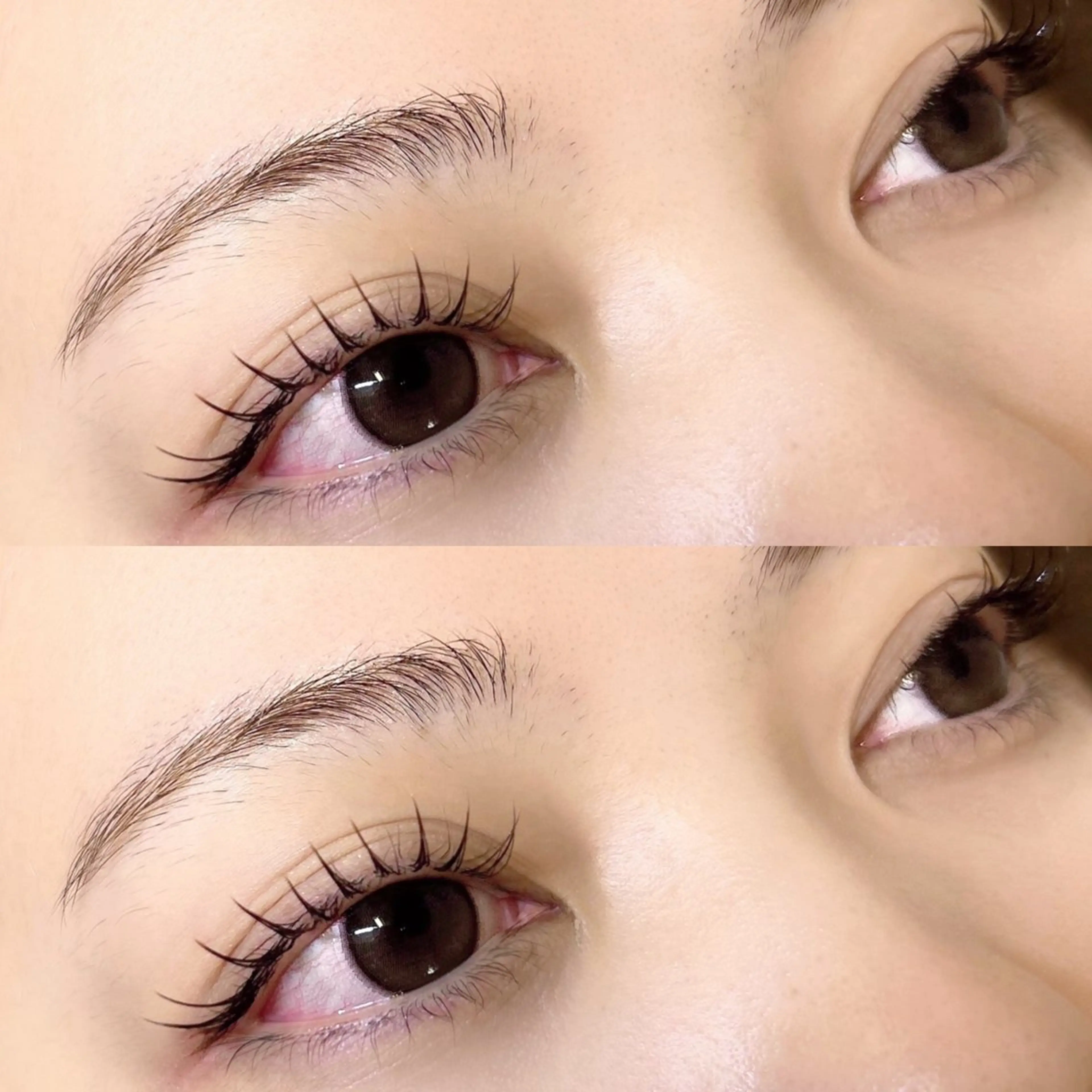 マツエク・マツパ Alume-ｱﾘｭｰﾑ-所属・京都LEDﾏﾂｴｸ 𝘼𝙡𝙪𝙢𝙚のマツエク・マツパデザイン