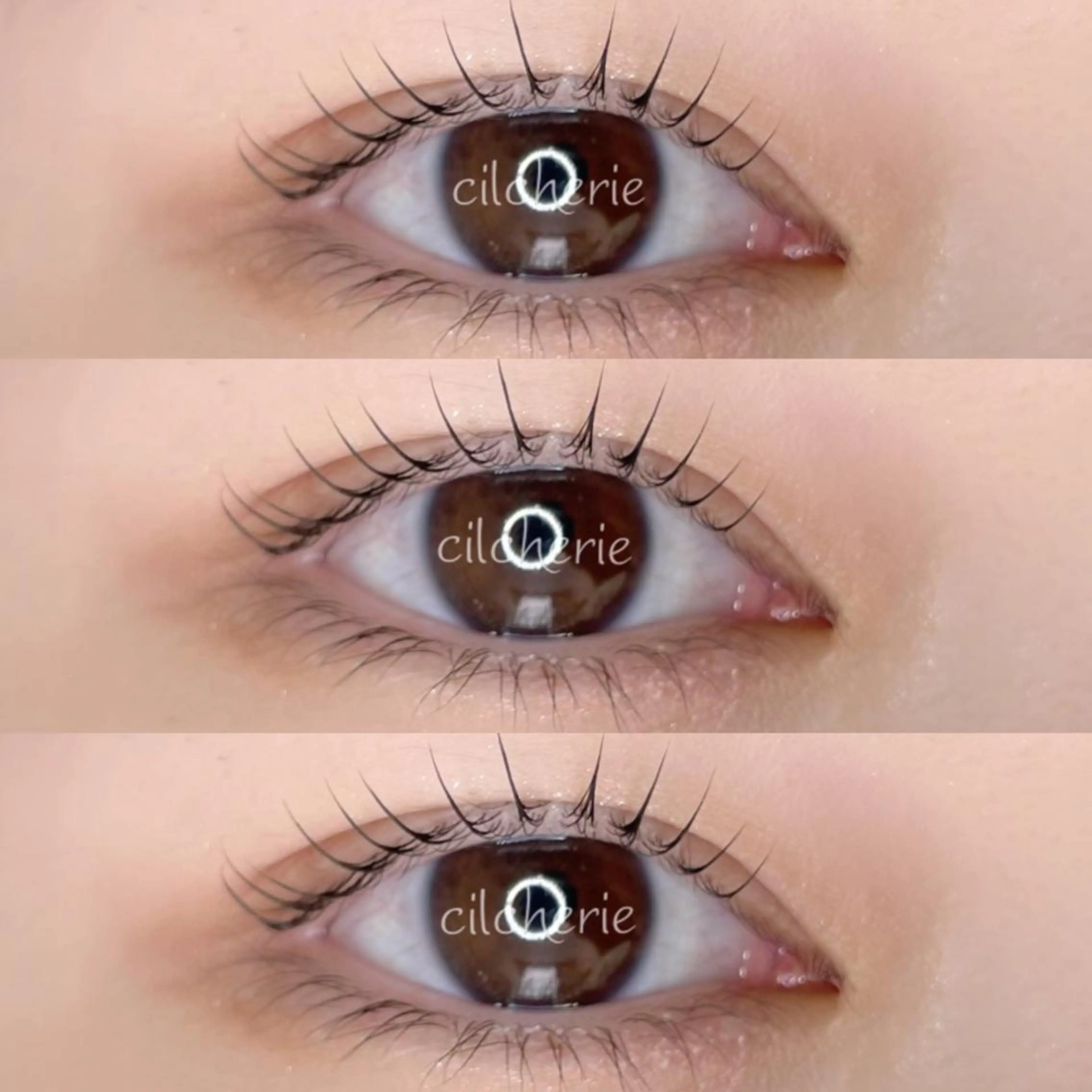 マツエク・マツパ パリジェンヌラッシュリフト マツパ cilcherie (シルシェリー)のマツエク・マツパデザイン