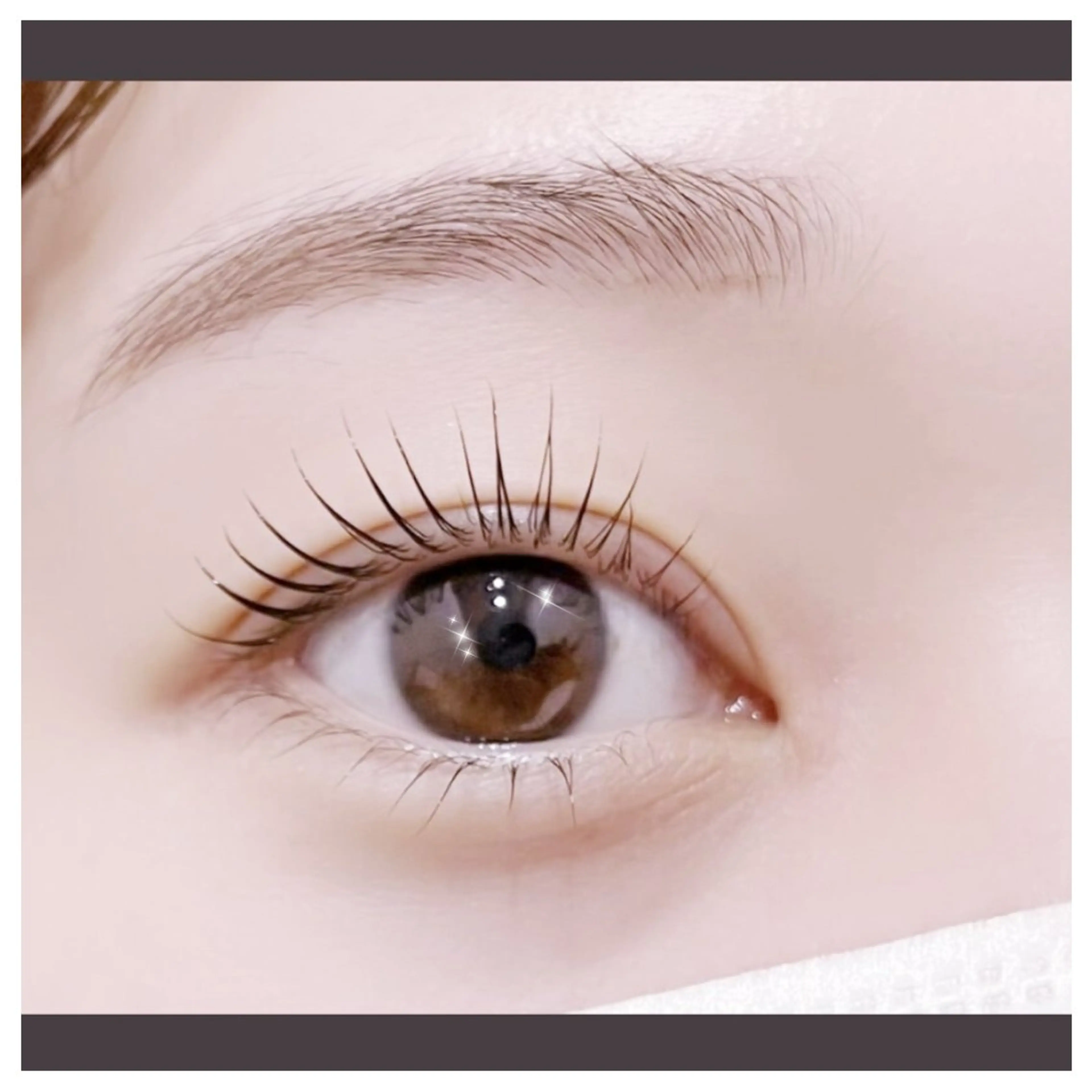 学生限定👩🎓パリジェンヌor似合わせまつ毛パーマ&アイシャンプー&美容液トリートメント付きの写真