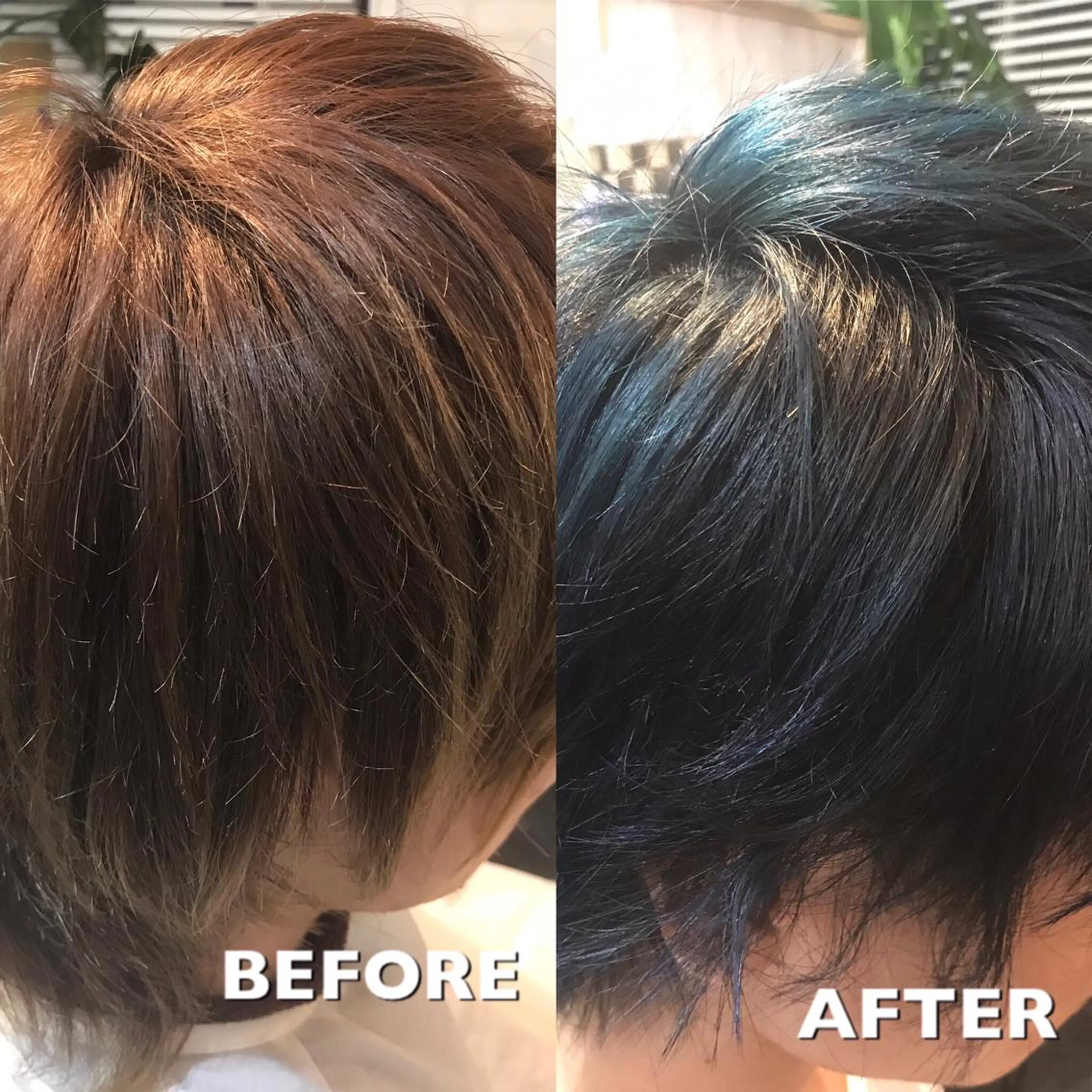 ショート 松本 和人のヘアスタイル