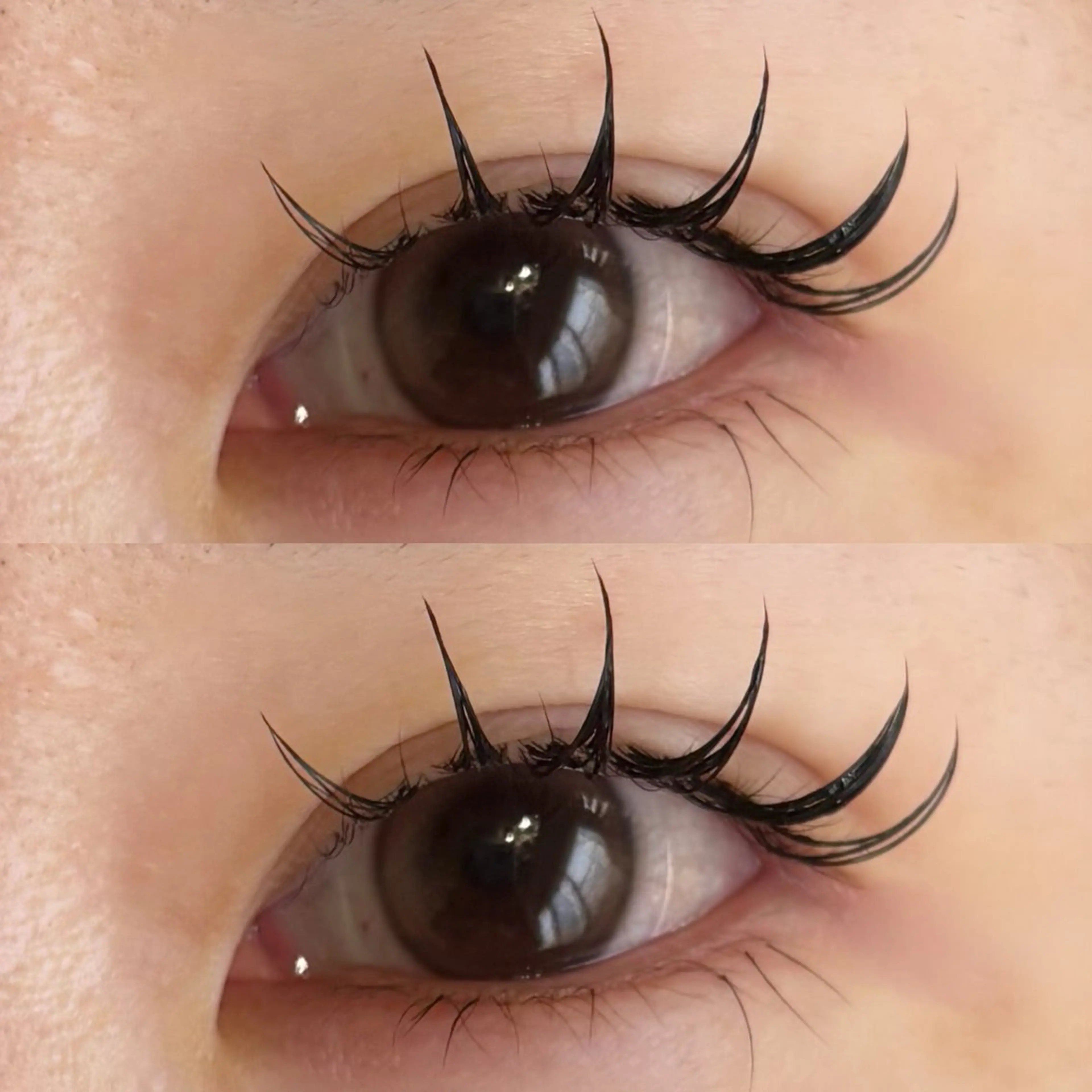 【リピーター様】🍎フラットラッシュ150本🍎国産グルー使用✨の写真