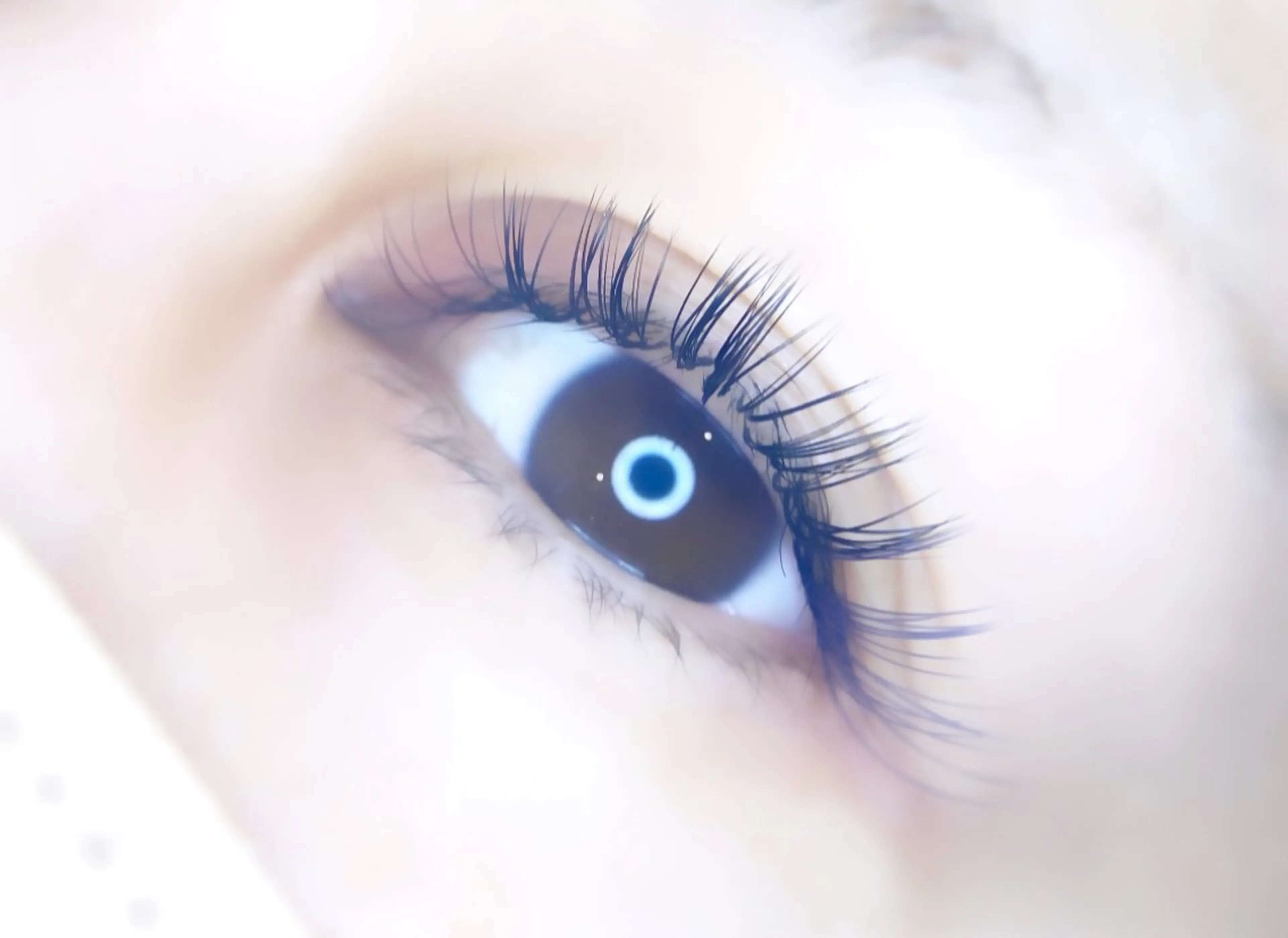 【付け足しがオススメ】💗バインド60束(総数180本)💗追加料金なし🦢シングル80本程の濃さ🦢※下記説明必読の写真