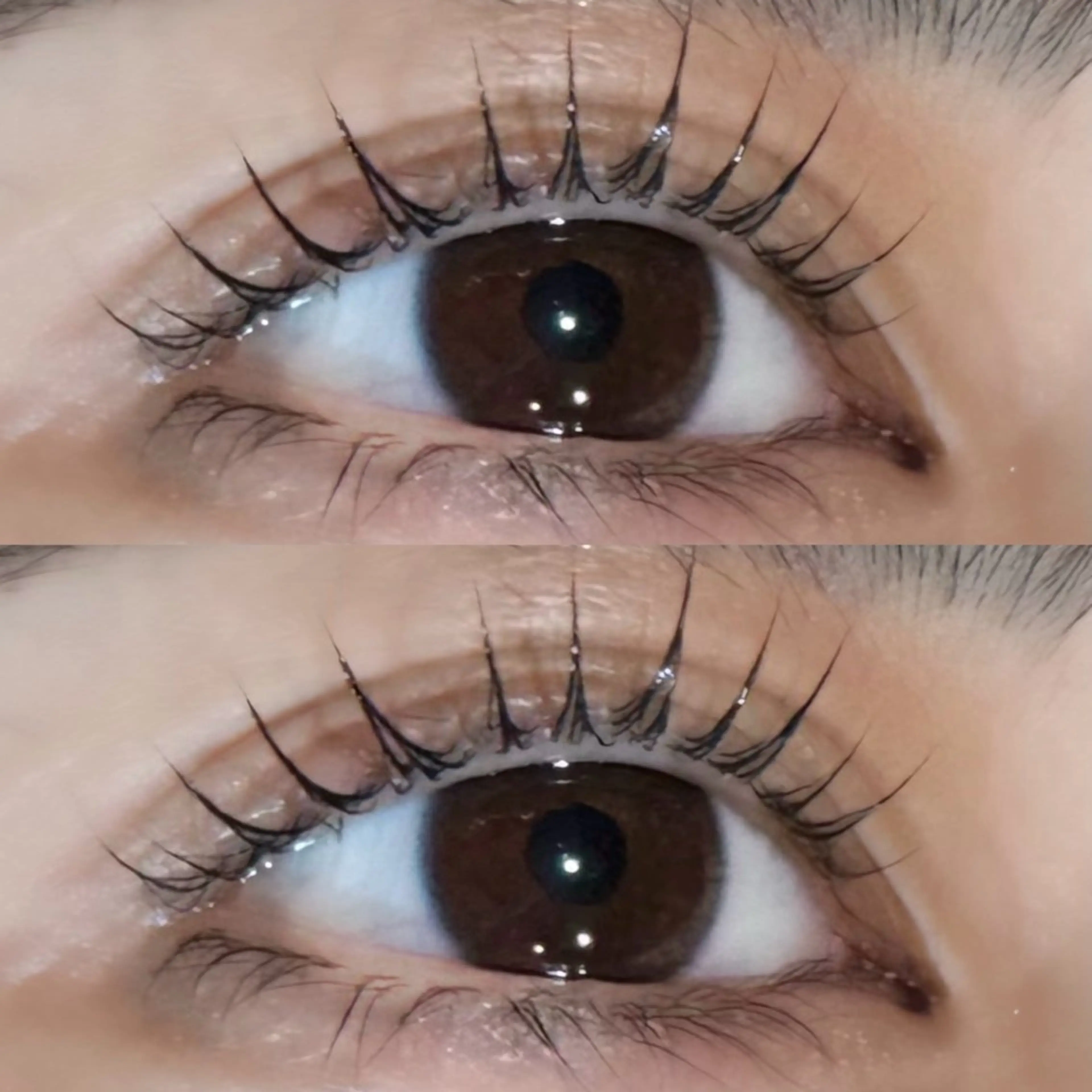 マツエク・マツパ マツパ Rena 泉中央のマツエク・マツパデザイン