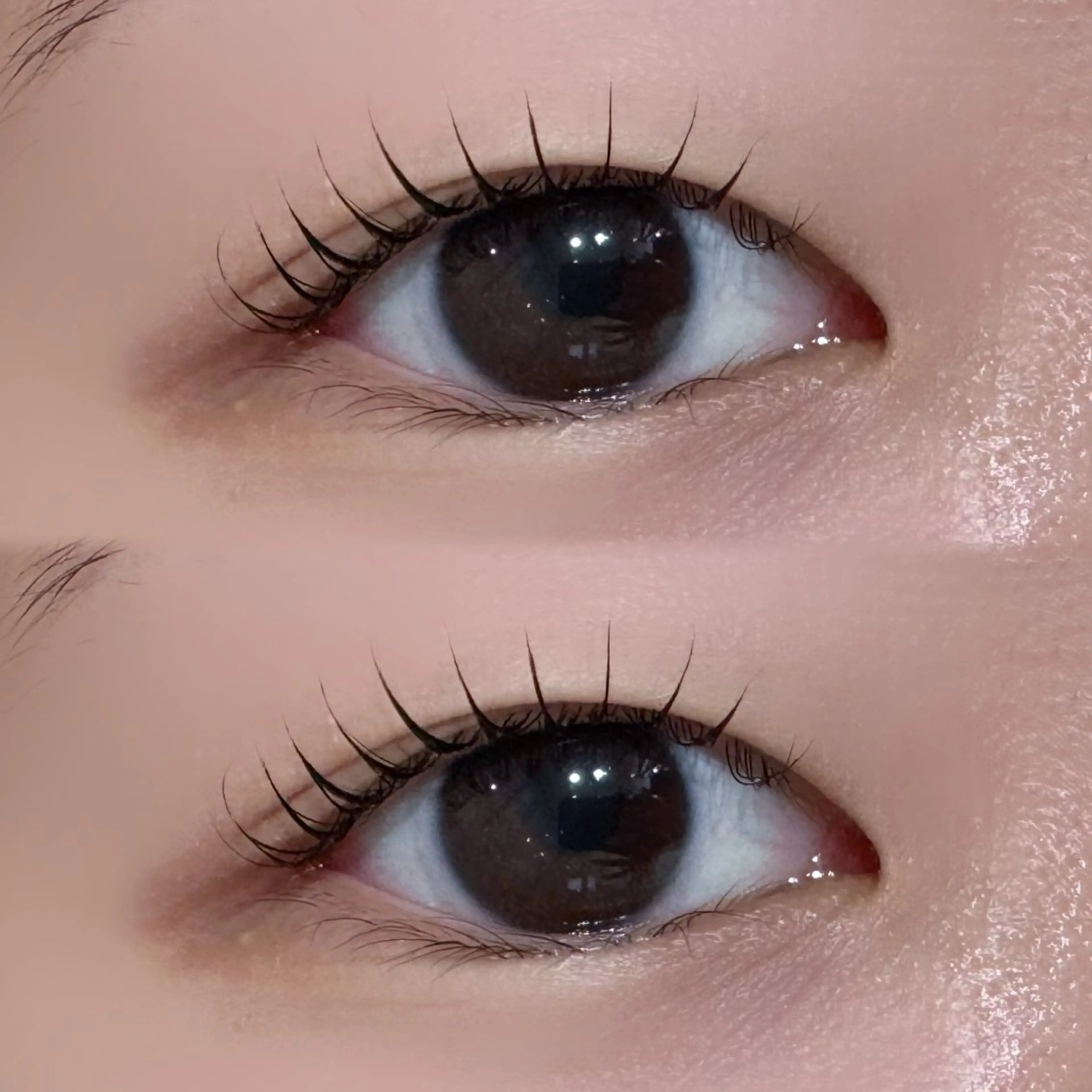 マツエク・マツパ マツパ Chaton KANAGAWAのマツエク・マツパデザイン