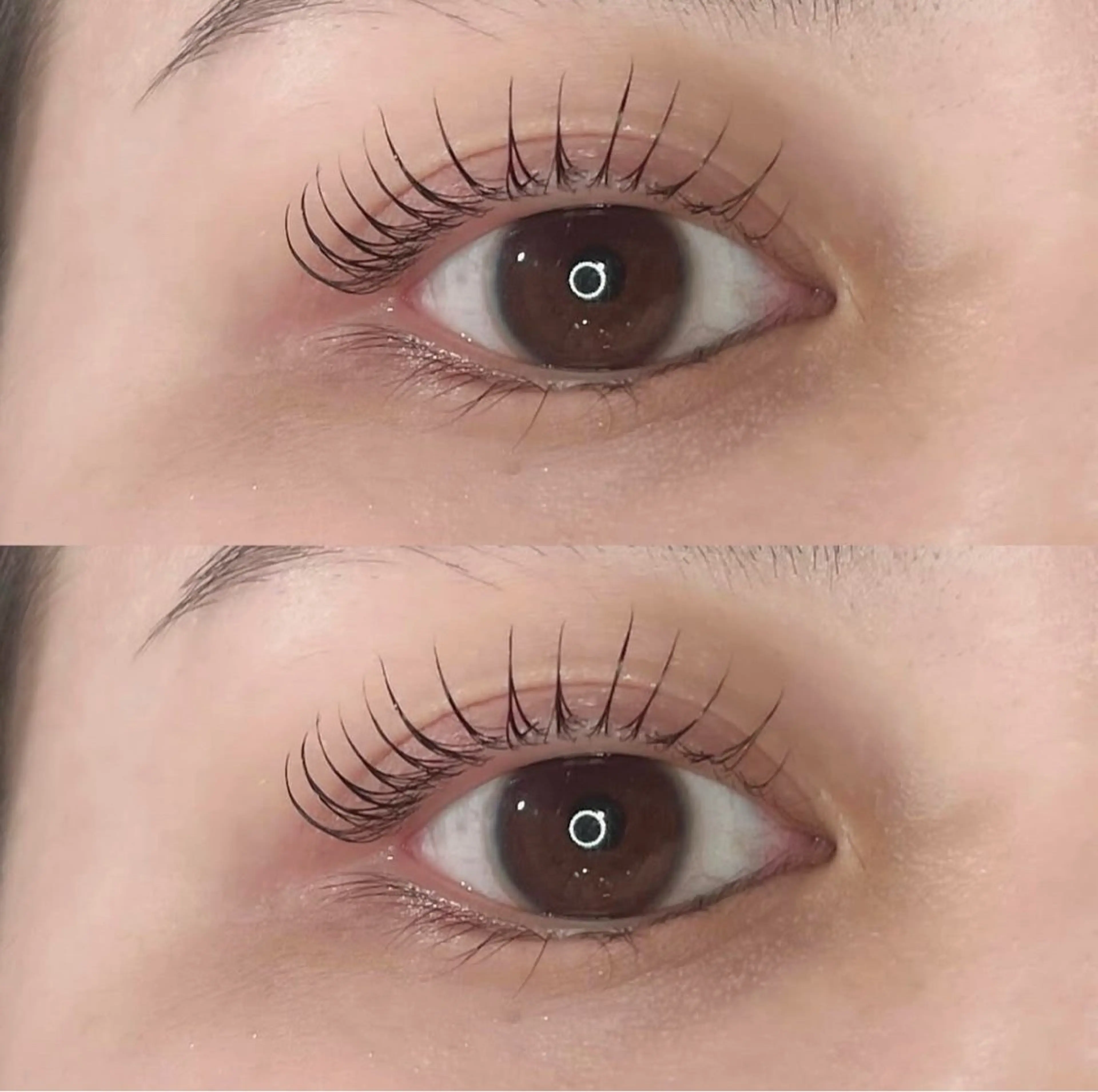 《マスカラパーマ》👁🎀ブラックティント＆ブラックコーティング🩶選べるパーマ（パリ可）🩶の写真