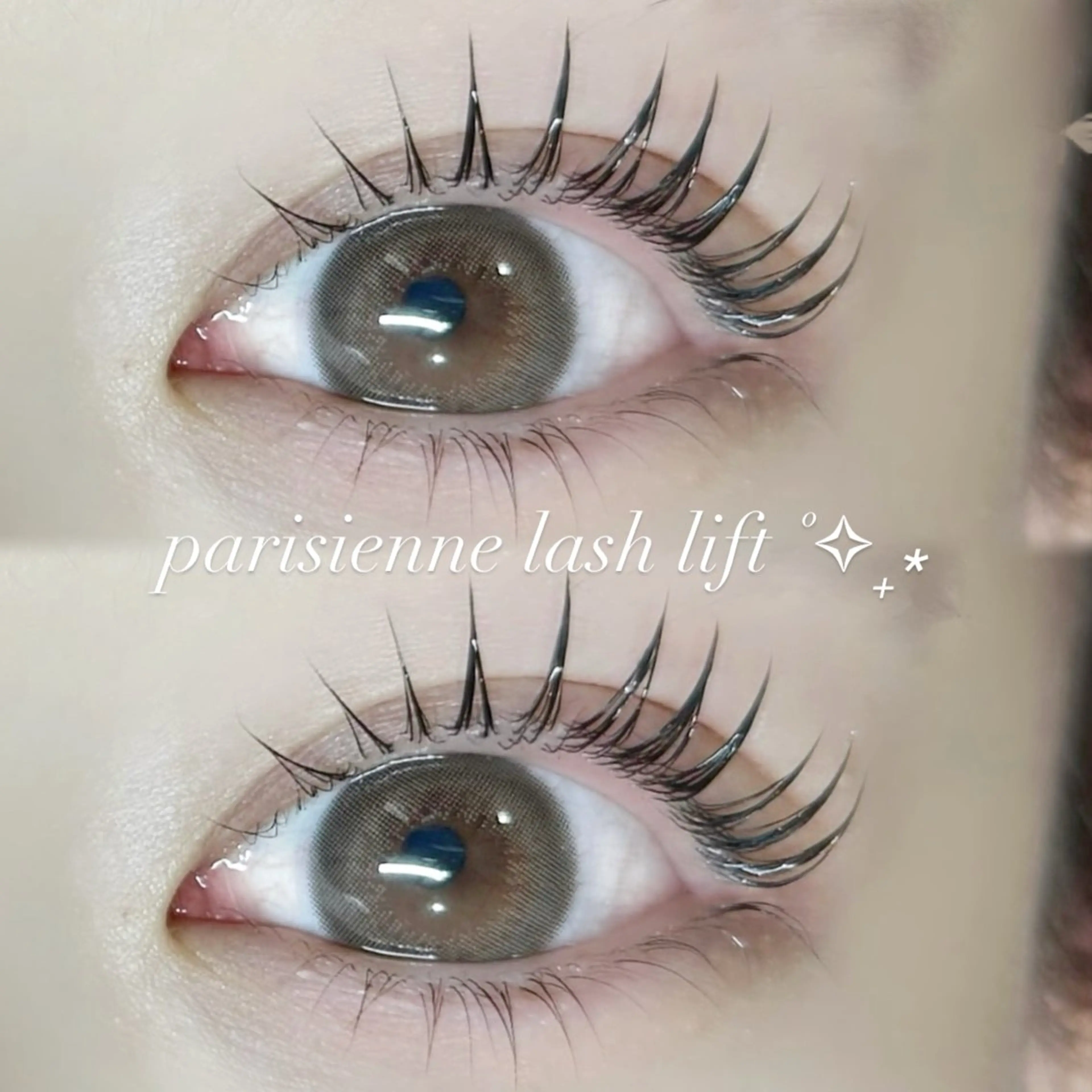 マツエク・マツパ マツパ 🪺fein. chihiro🪹のマツエク・マツパデザイン