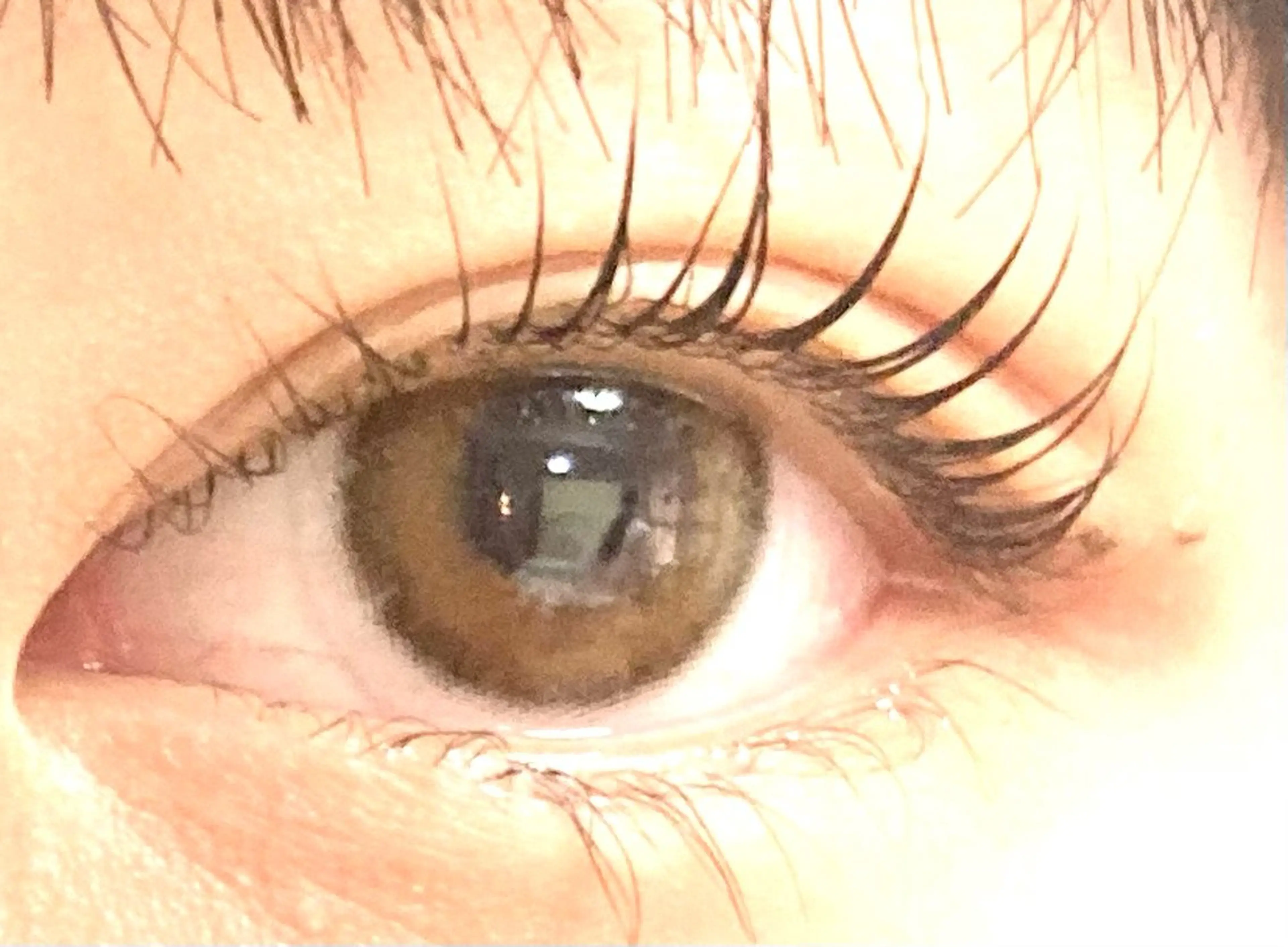 マツエク・マツパ M y lash 緑井店　宮本のマツエク・マツパデザイン