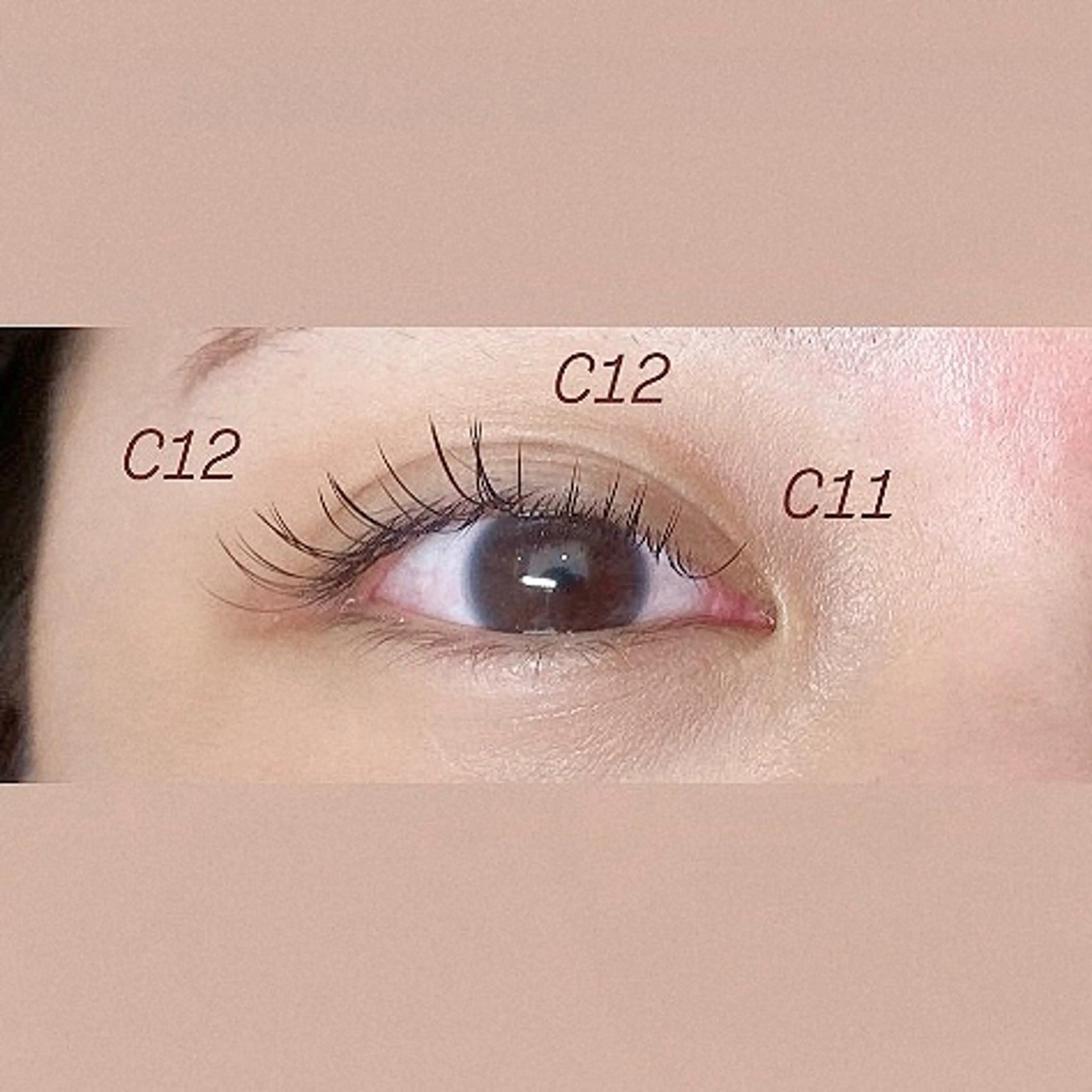 LED🌈💞フラットラッシュ💞エクステ 100本　モニター様募集の写真