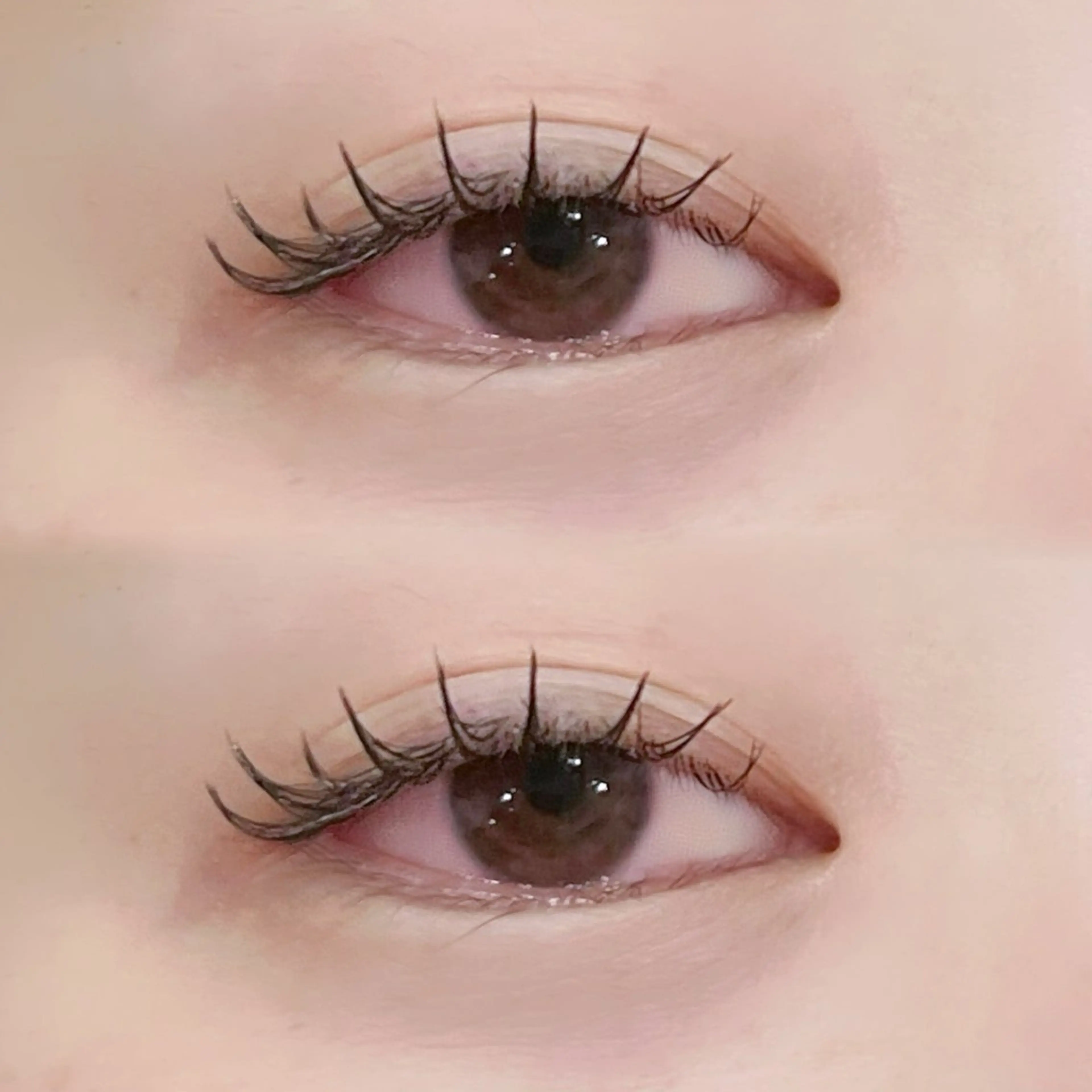 モチ抜群で自まつ毛への負担も軽減！💎カシミヤセーブル100本まで💎の写真