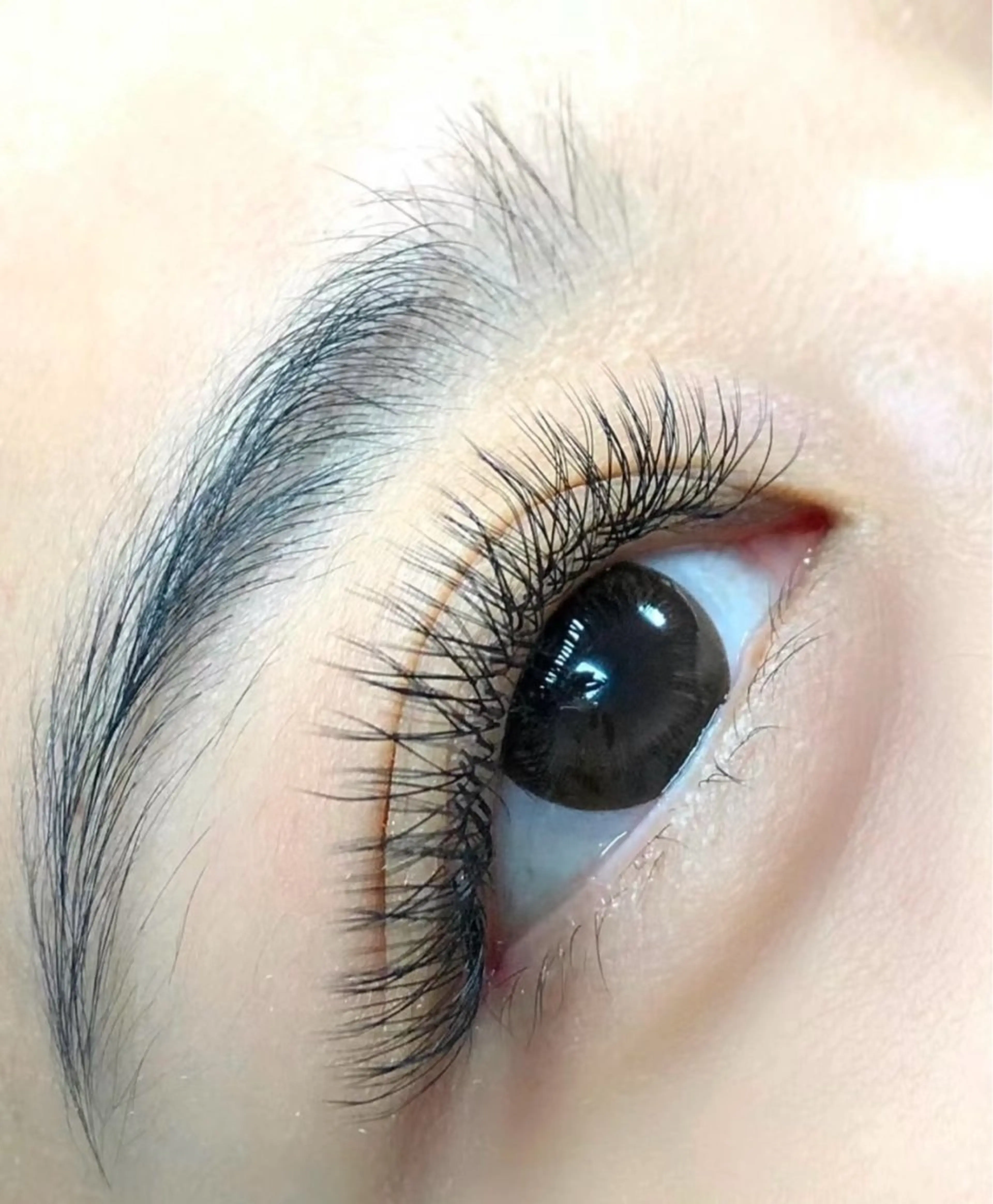 マツエク・マツパ マツエク 鈴木 あゆみのマツエク・マツパデザイン