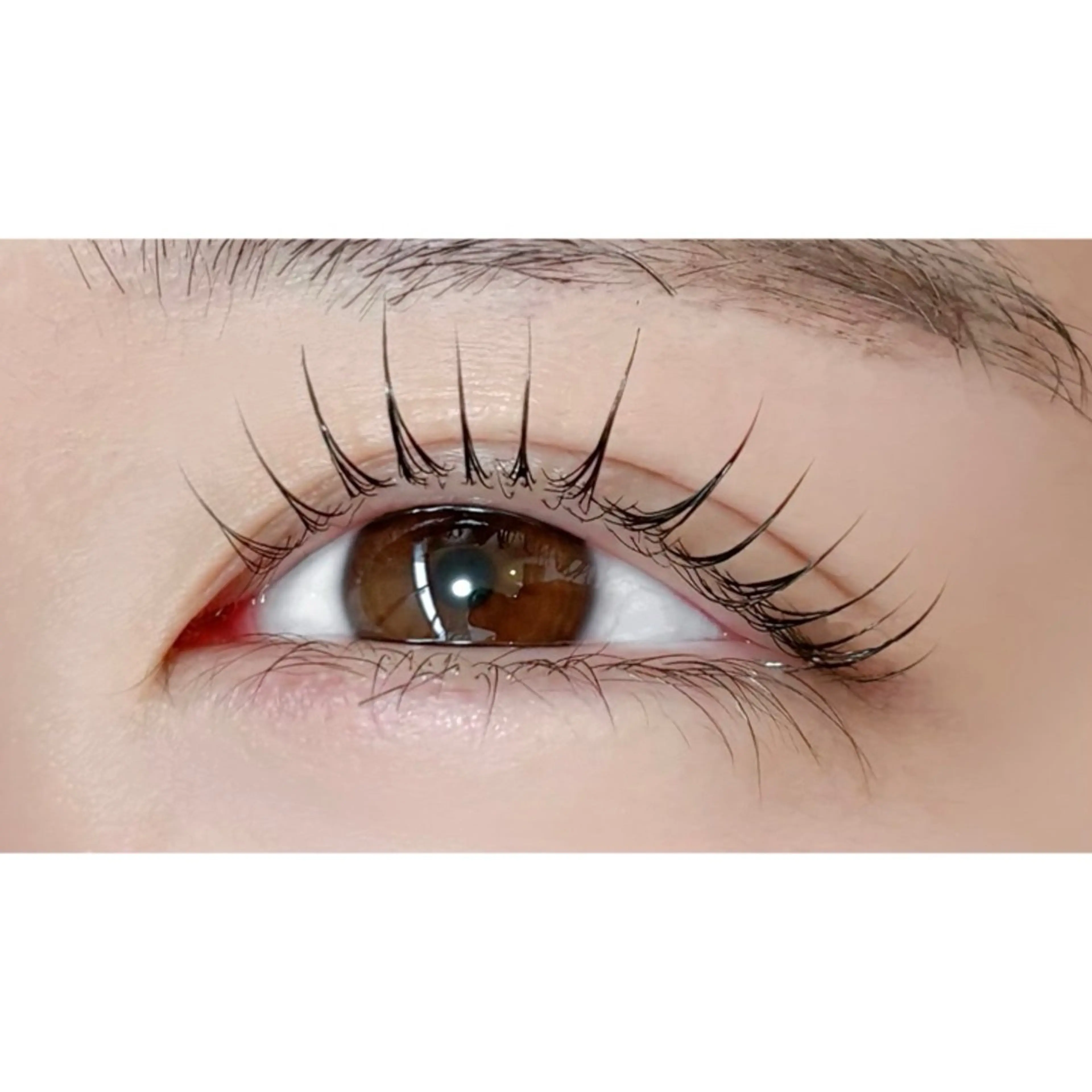 マツエク・マツパ 一重×まつ毛パーマ マツパ アルターエクラ 𓂃𓈒♡mikiのマツエク・マツパデザイン