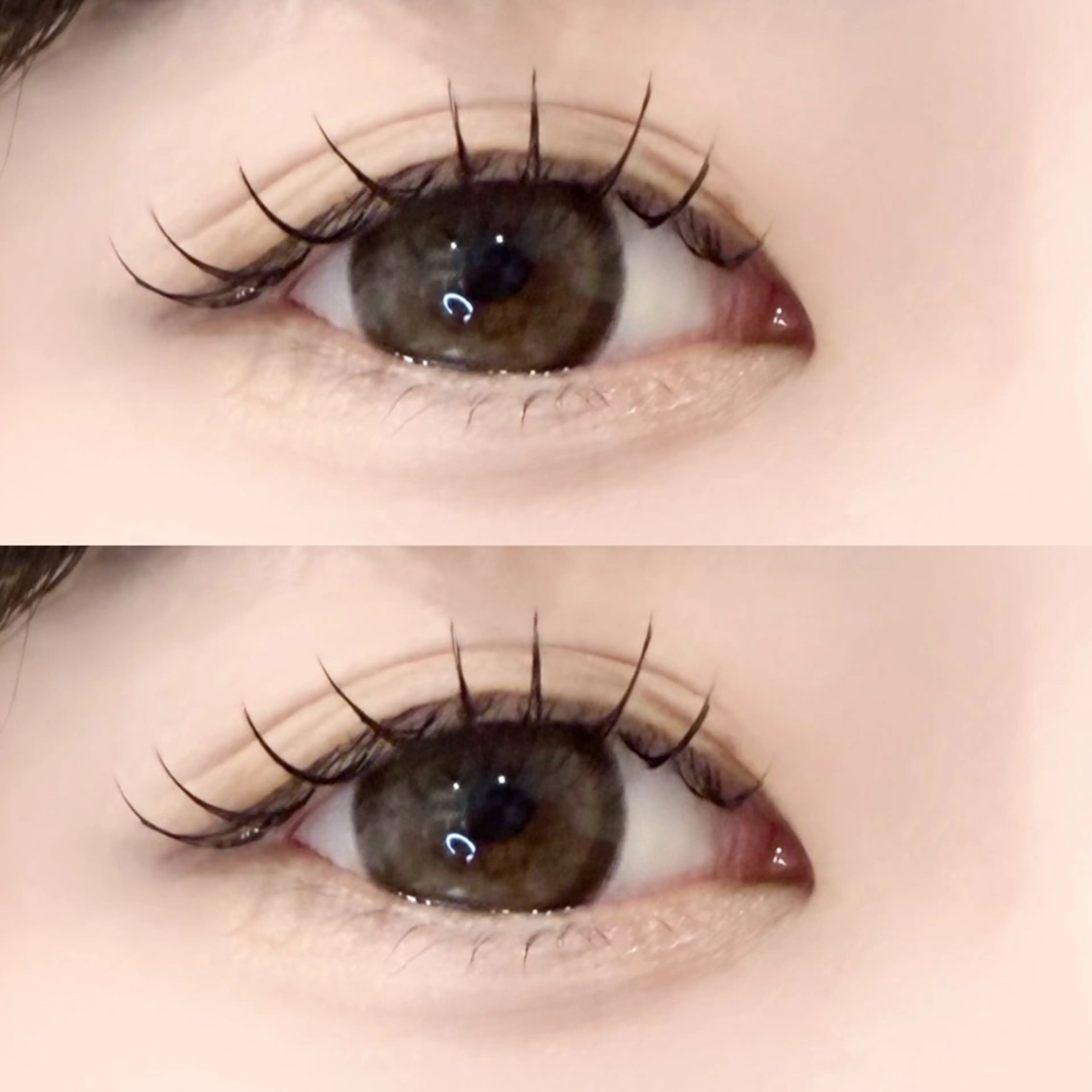 【新規限定】 下まつげエクステ40本🧸⸝⋆*(詳細確認必須)の写真