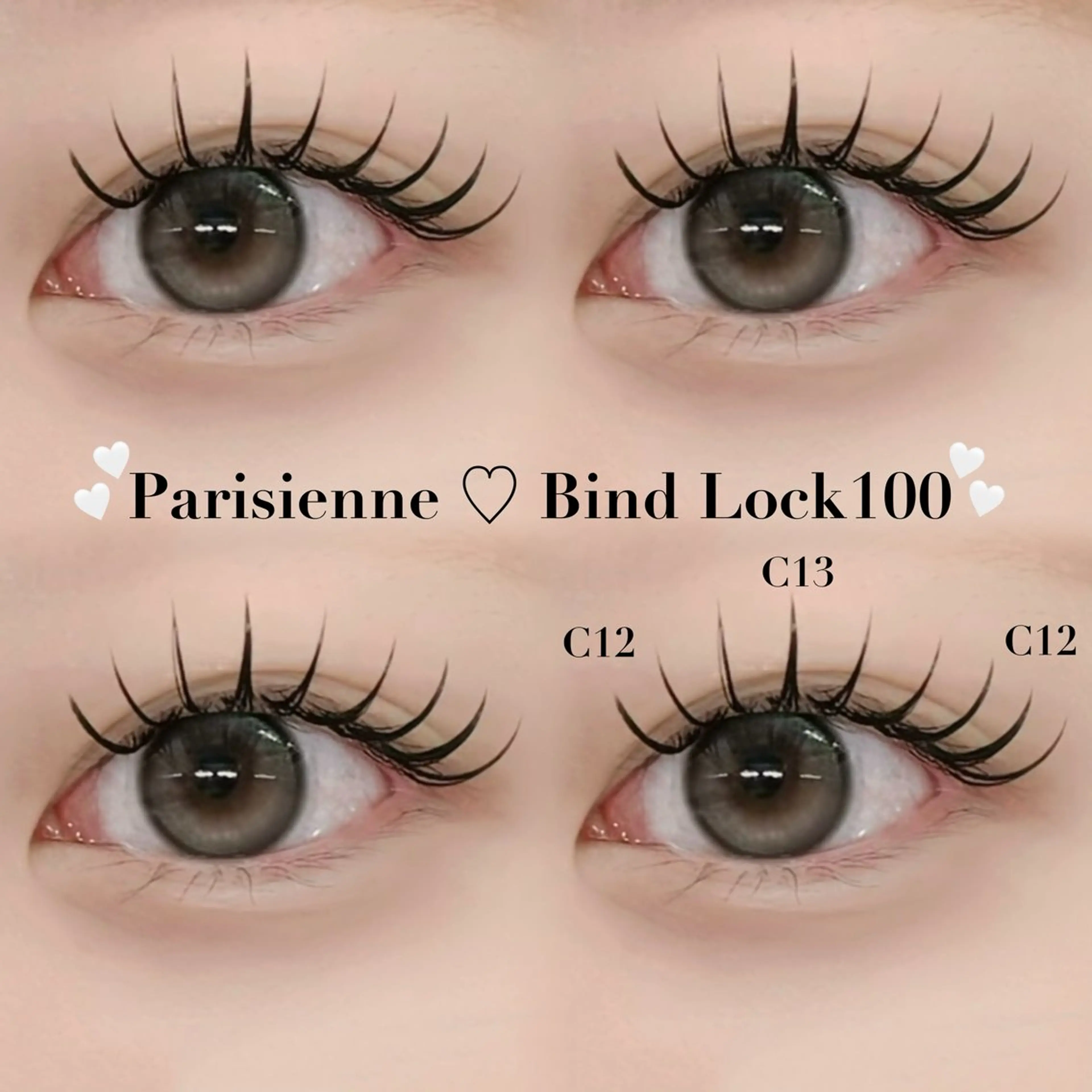 【新規限定】パリバインド80束の写真