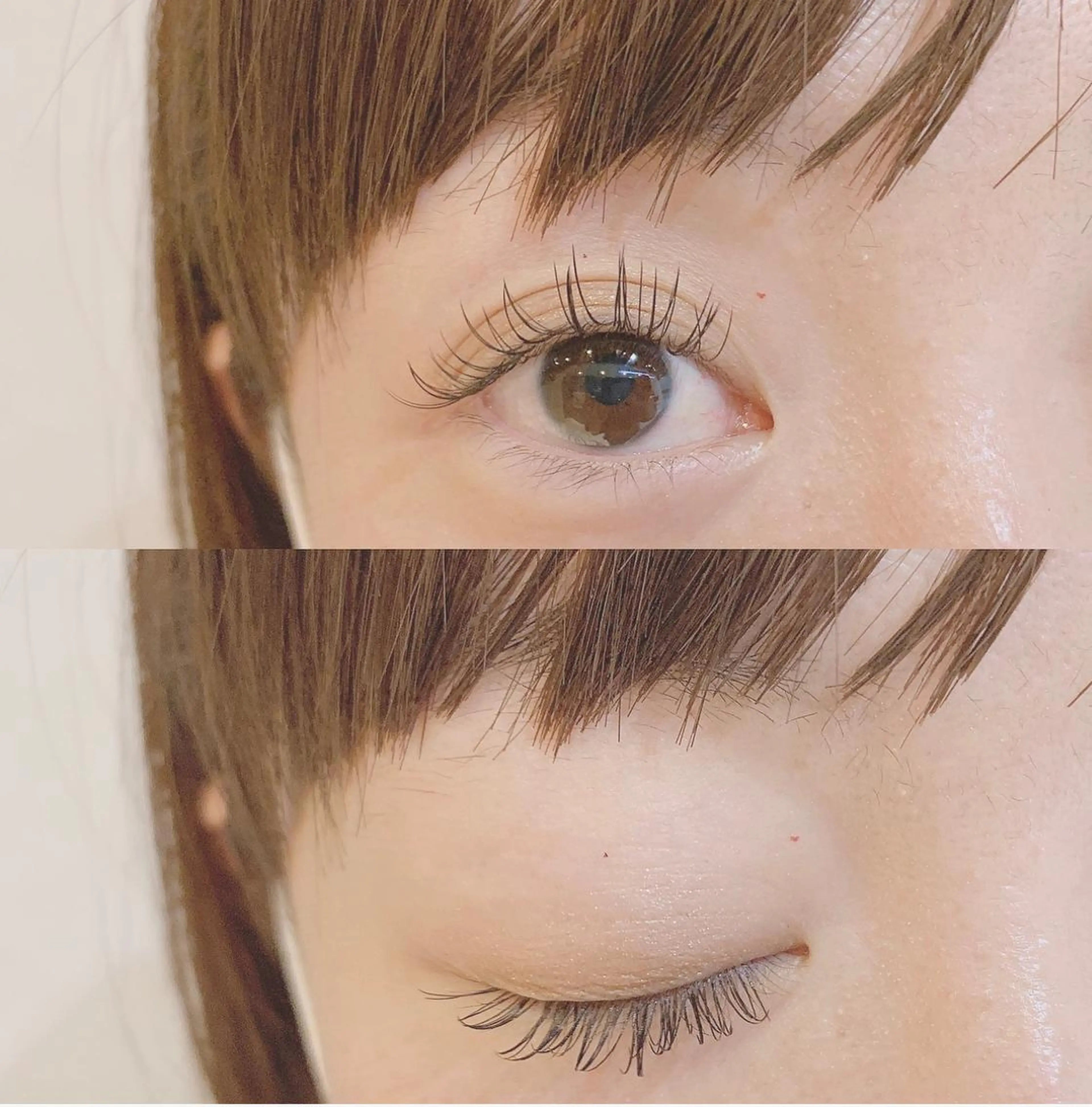 マツエク・マツパ Lepus所属・Lepus Ishitsukaのマツエク・マツパデザイン