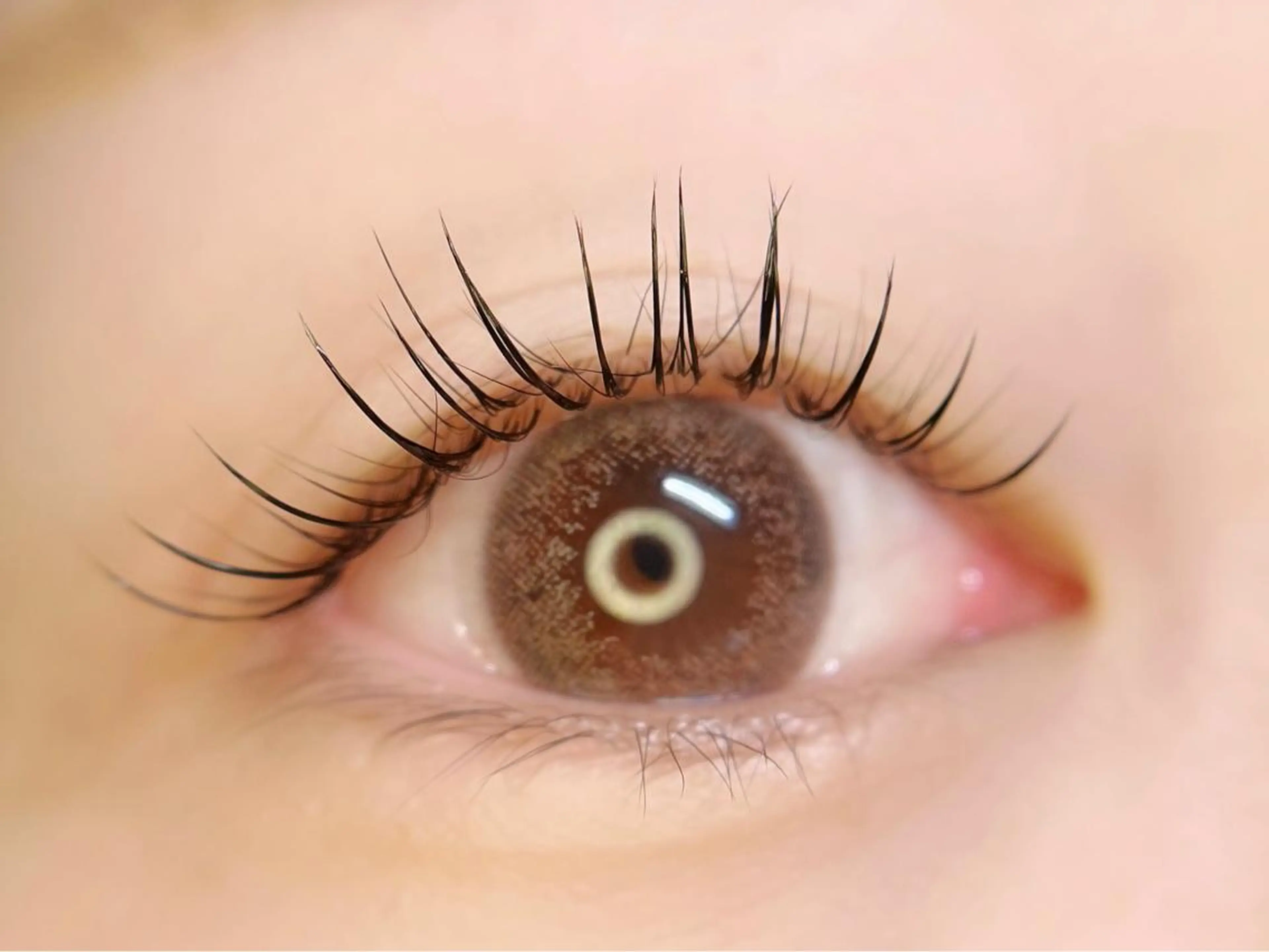 マツエク・マツパ 🤍南流山MaaZ staff1⃣🤍のマツエク・マツパデザイン