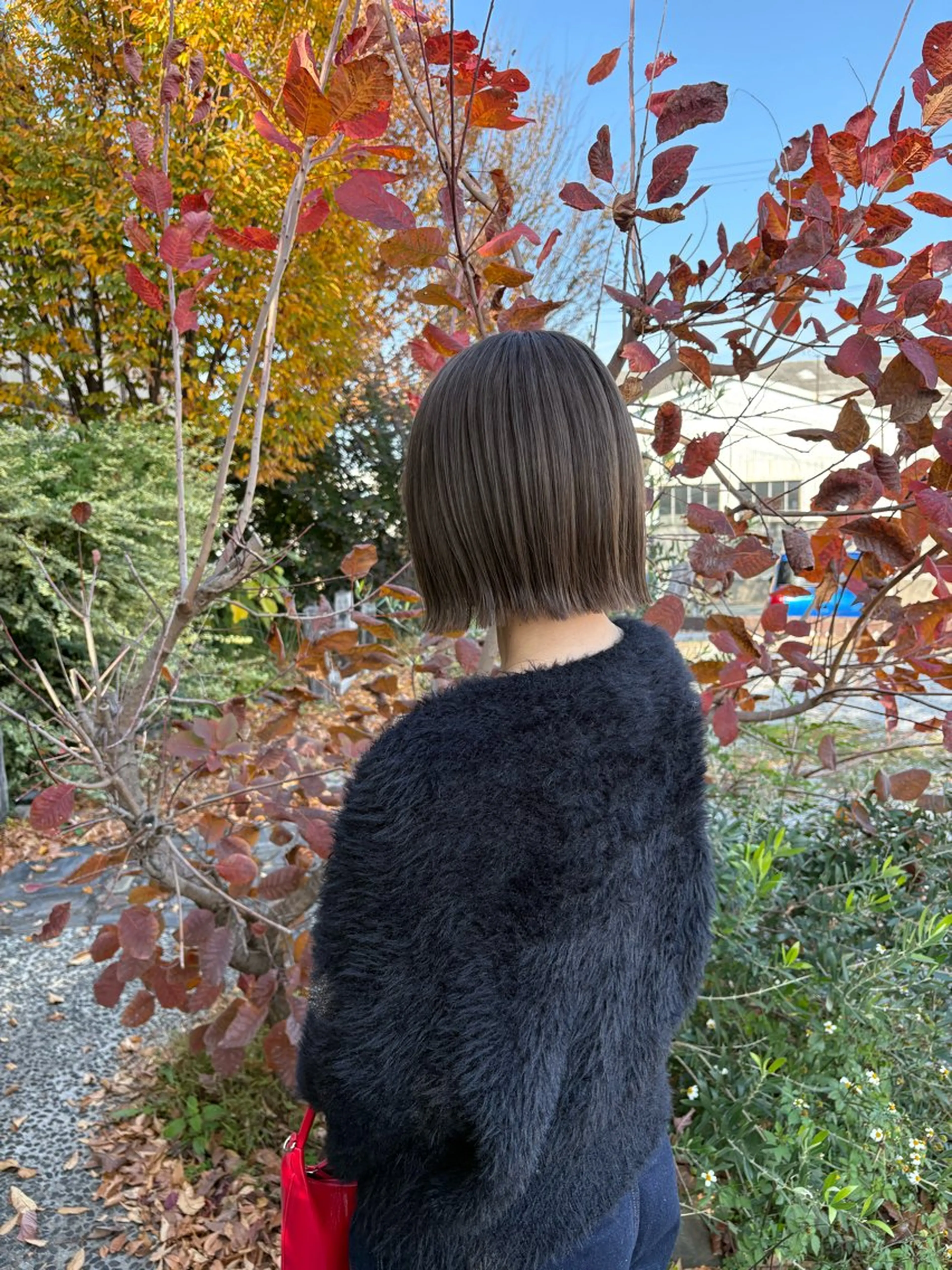 ショート カラー ルプラボウ  藤原 千紗のヘアスタイル