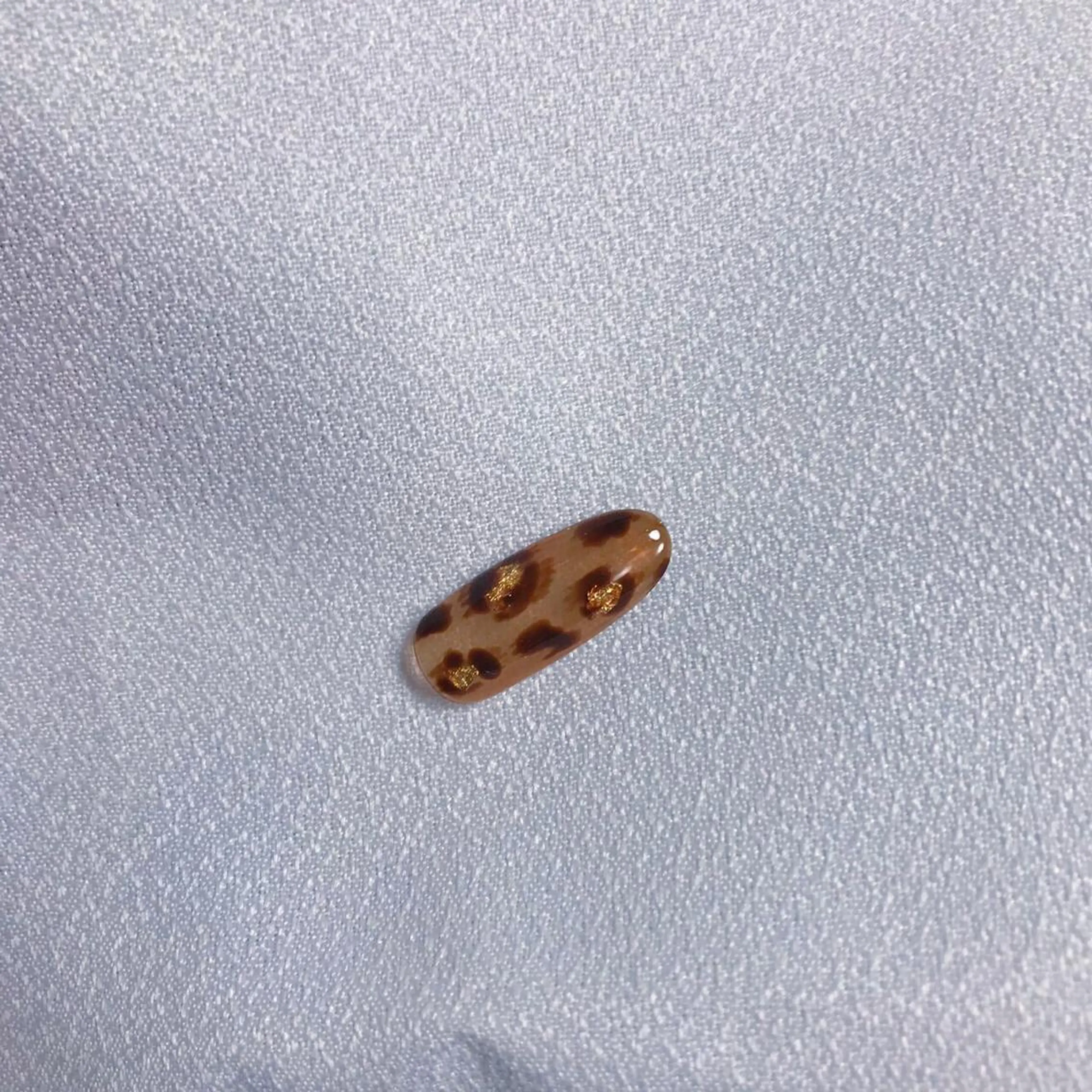 ネイル アニマル柄 ハンドネイル 💅 Ai.のネイルデザイン