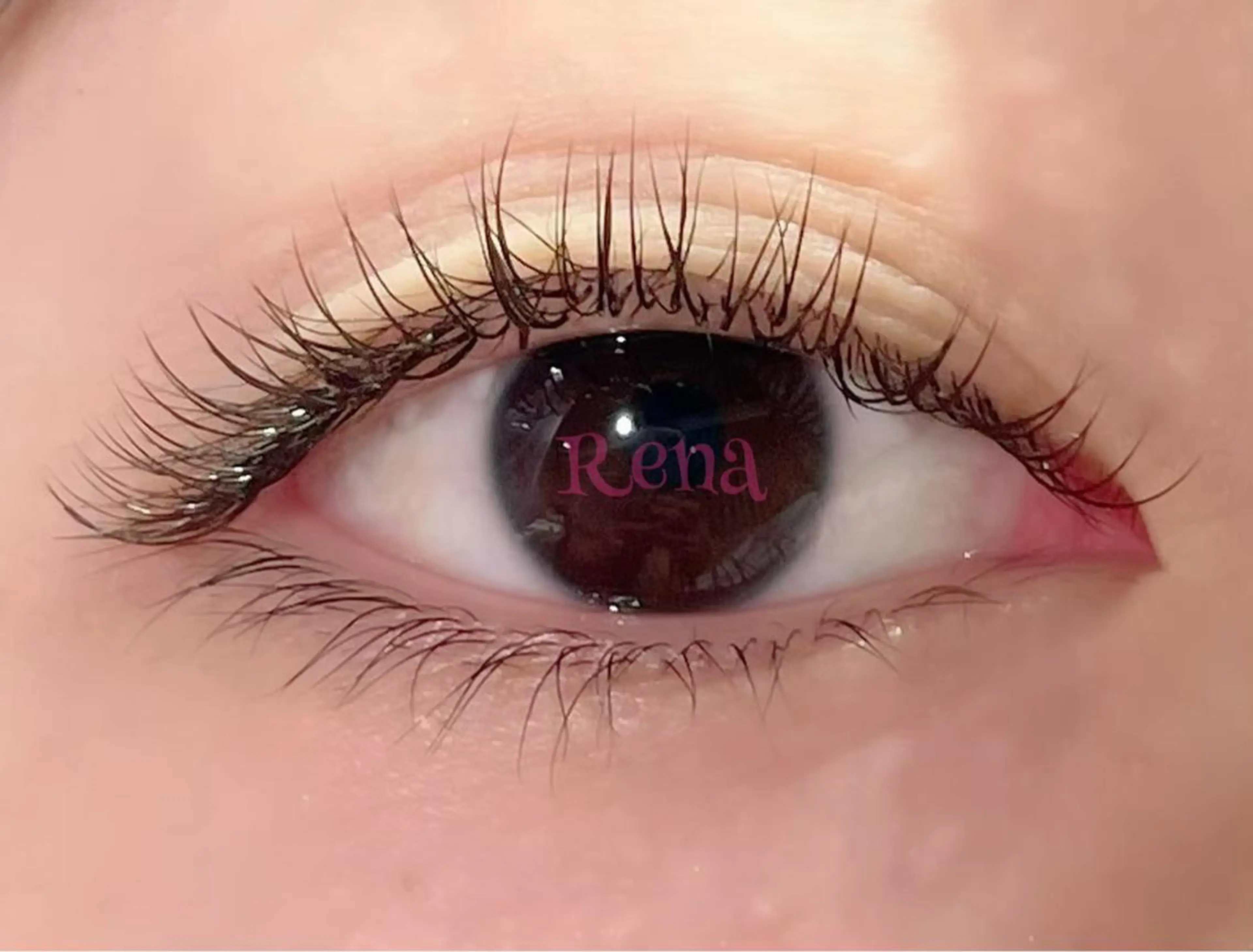 マツエク・マツパ カラーマツエク セーブル クラシックアイズ鹿島 ☆練習モデル専用☆のマツエク・マツパデザイン