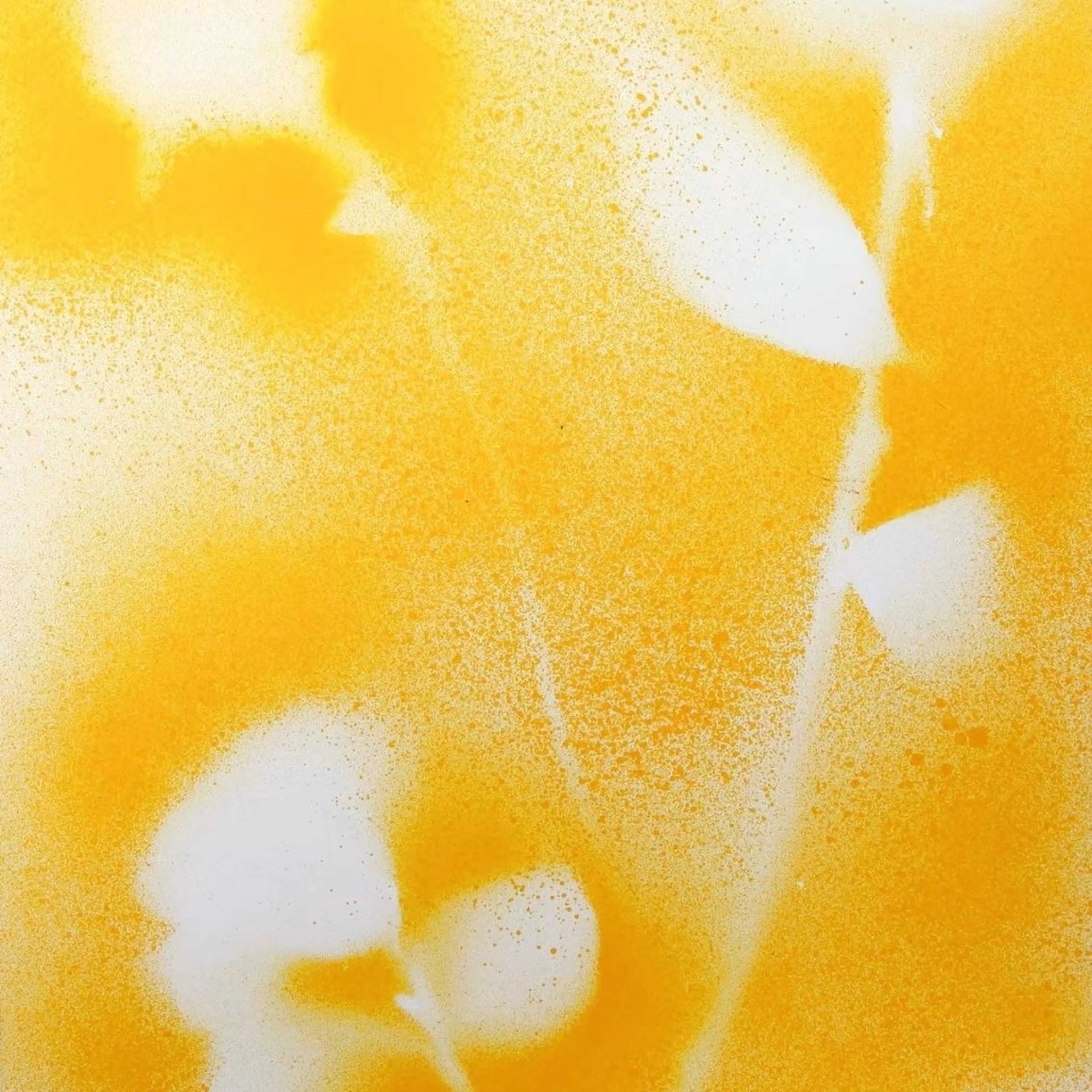 ☆RUO☆/レイヤー /ハイトーンのヘアスタイル