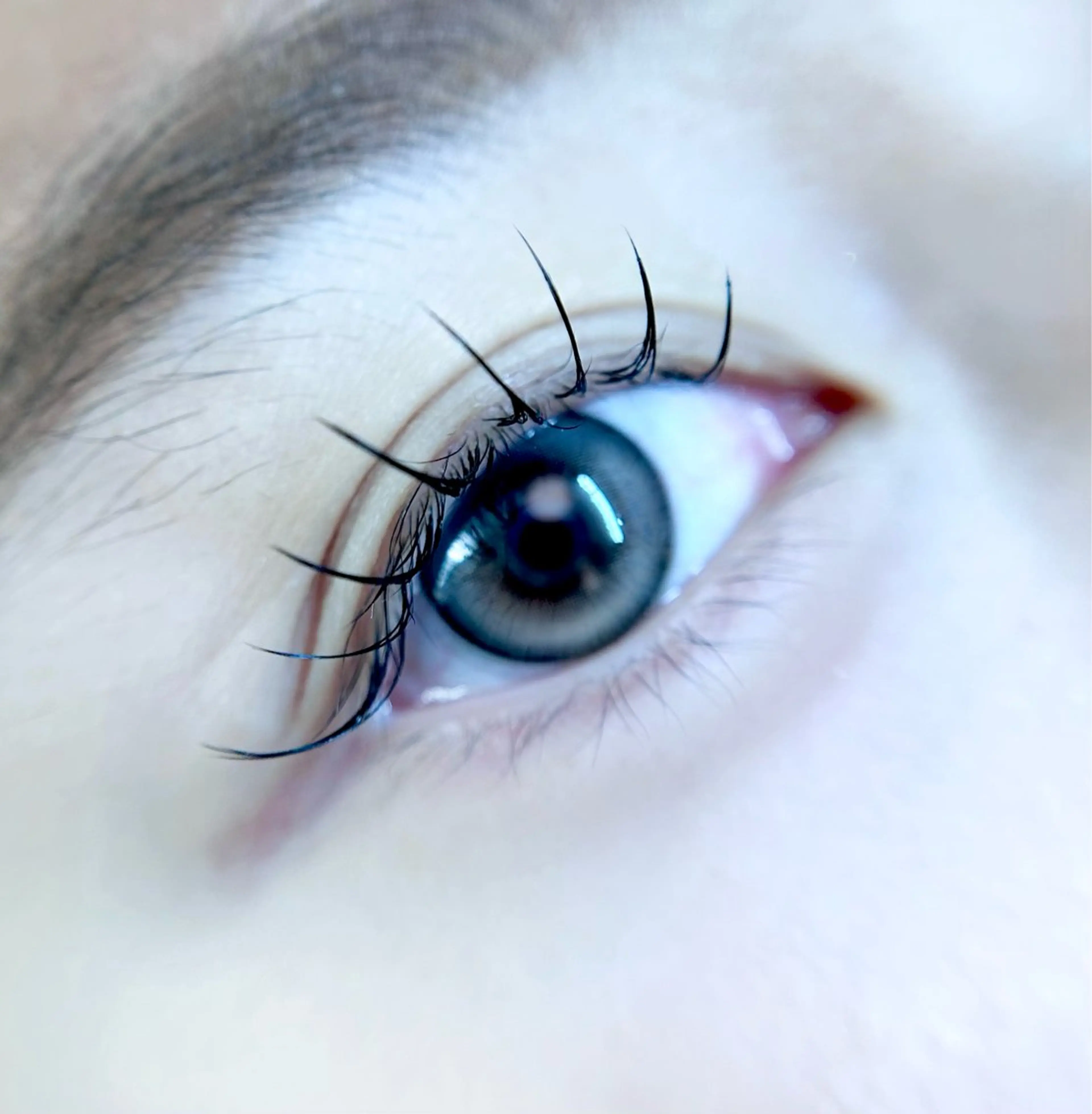 マツエク・マツパ マツエク eyelist. mizuki🐈‍⬛の眉毛・アイブロウイメージ