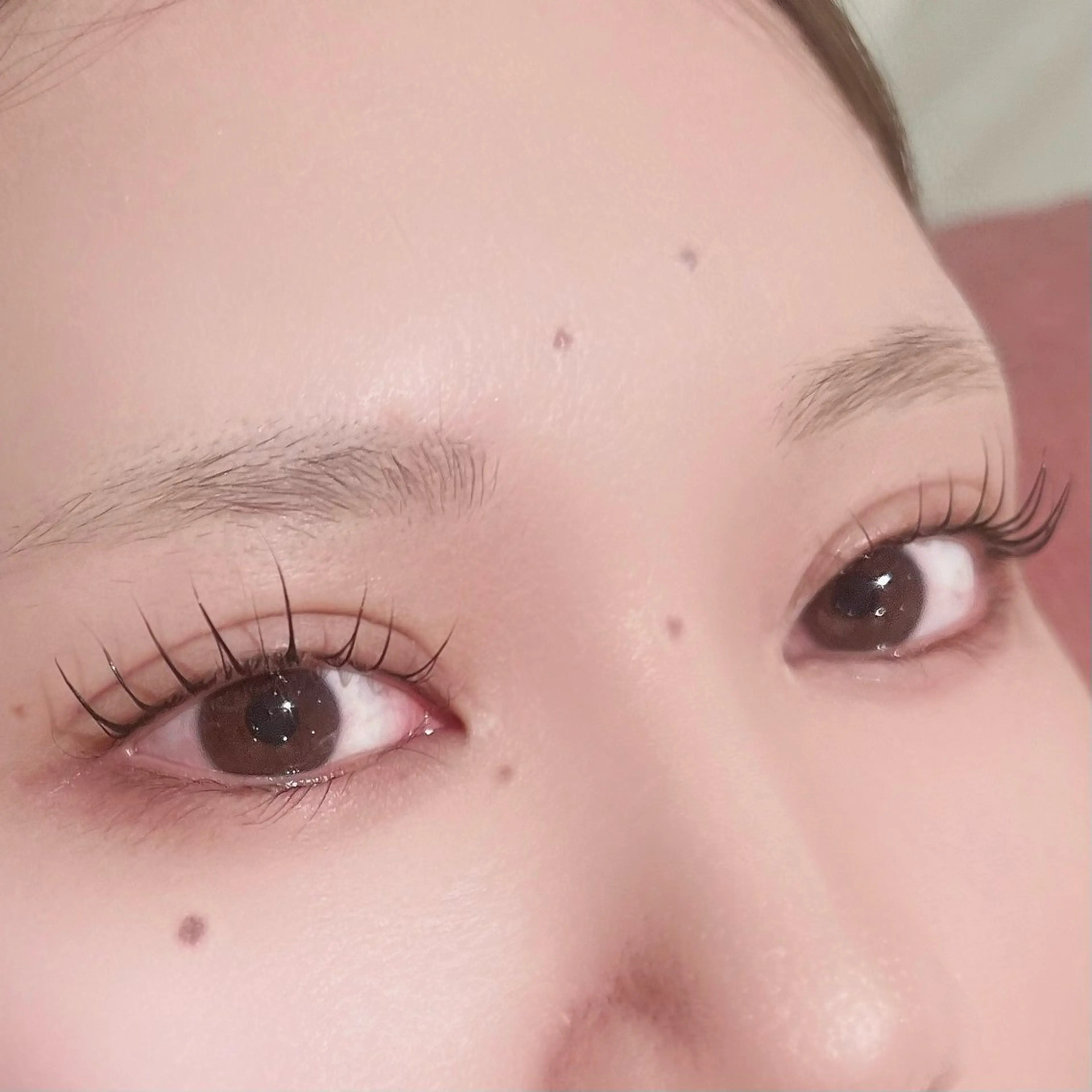 パリジェンヌ（上まつ毛）＋ティント🖤✨担当/小林の写真