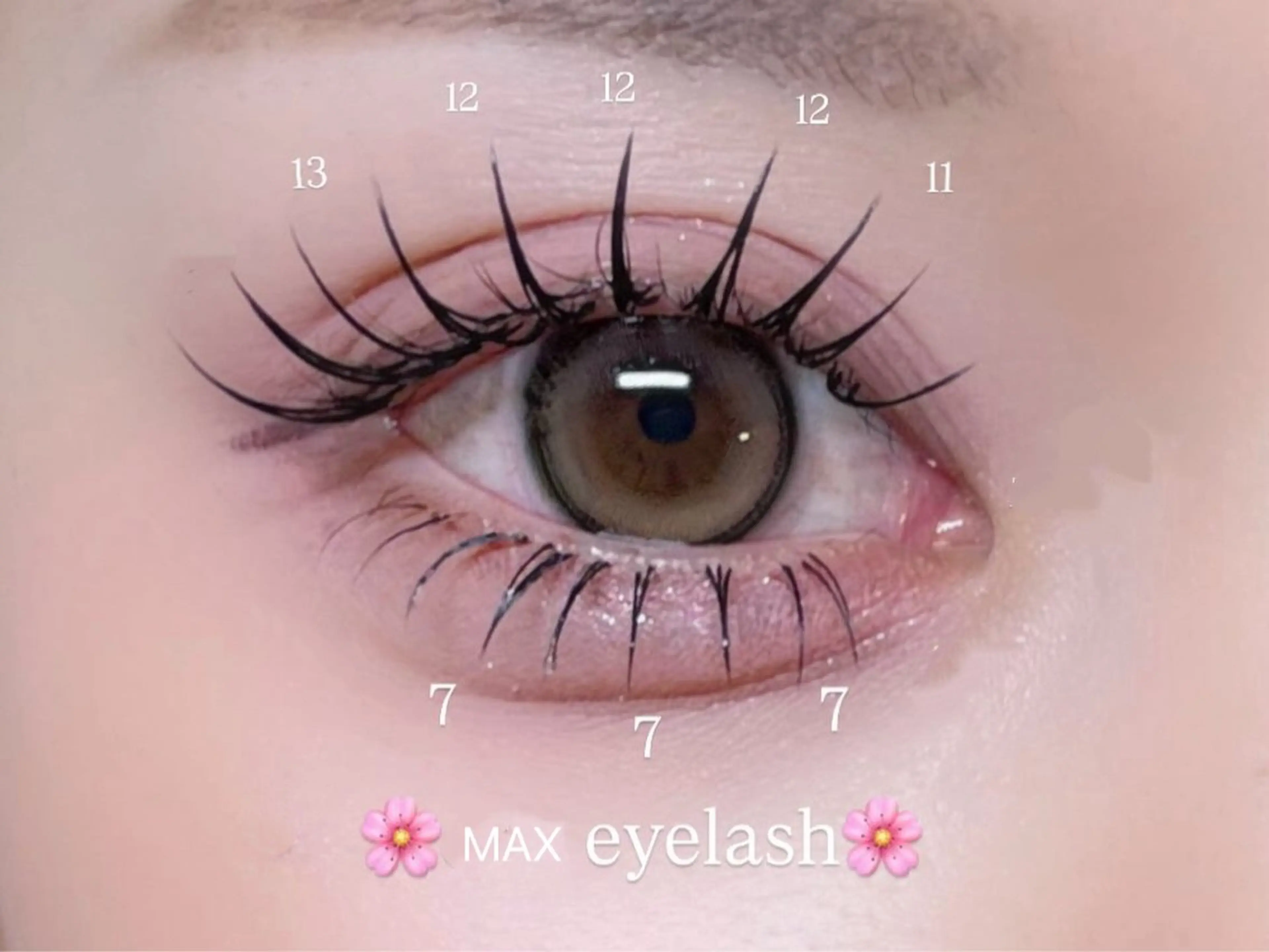 マツエク・マツパ マツエク Max eyelash池袋のマツエク・マツパデザイン