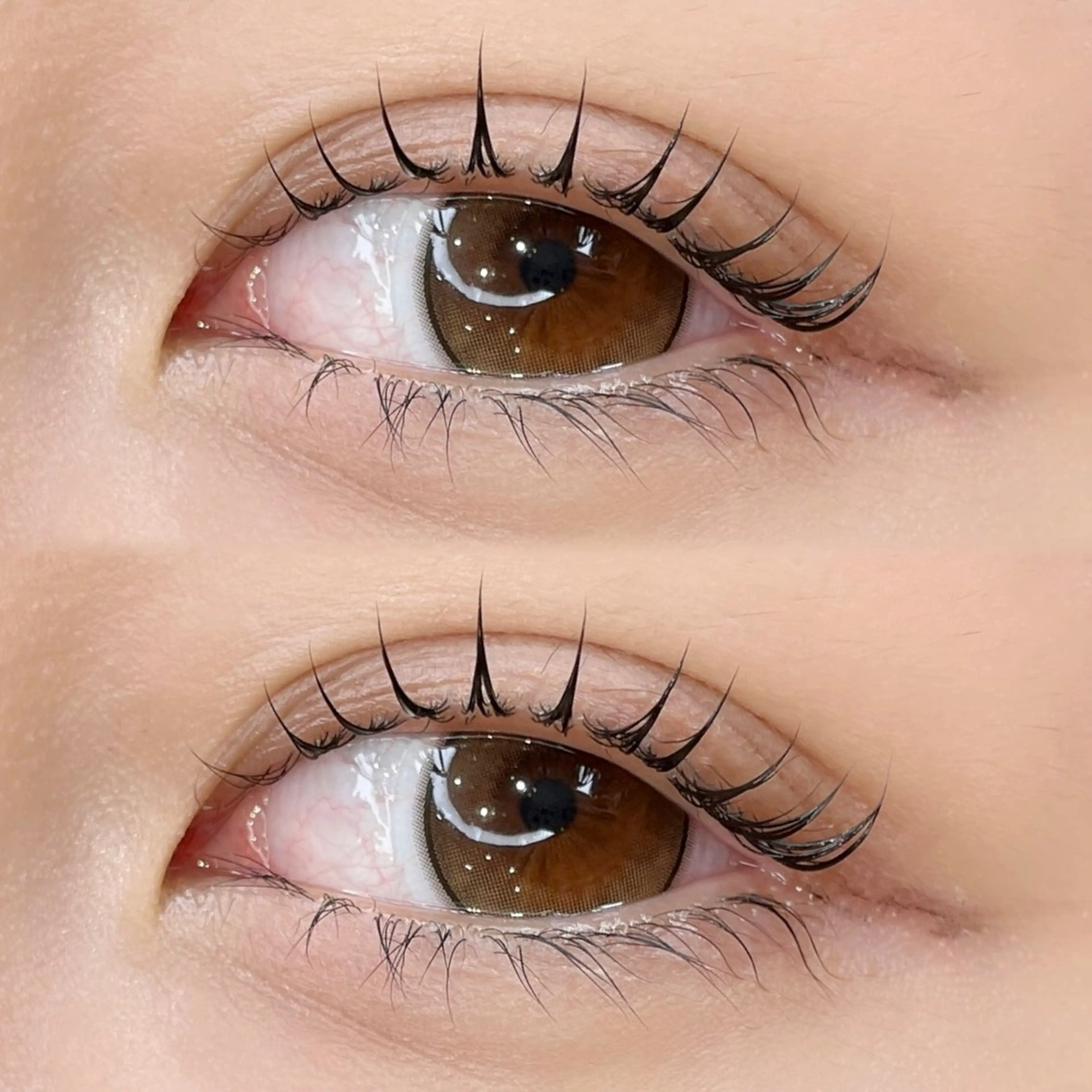 【平日限定】ラッシュリフトまつげパーマ🤍の写真