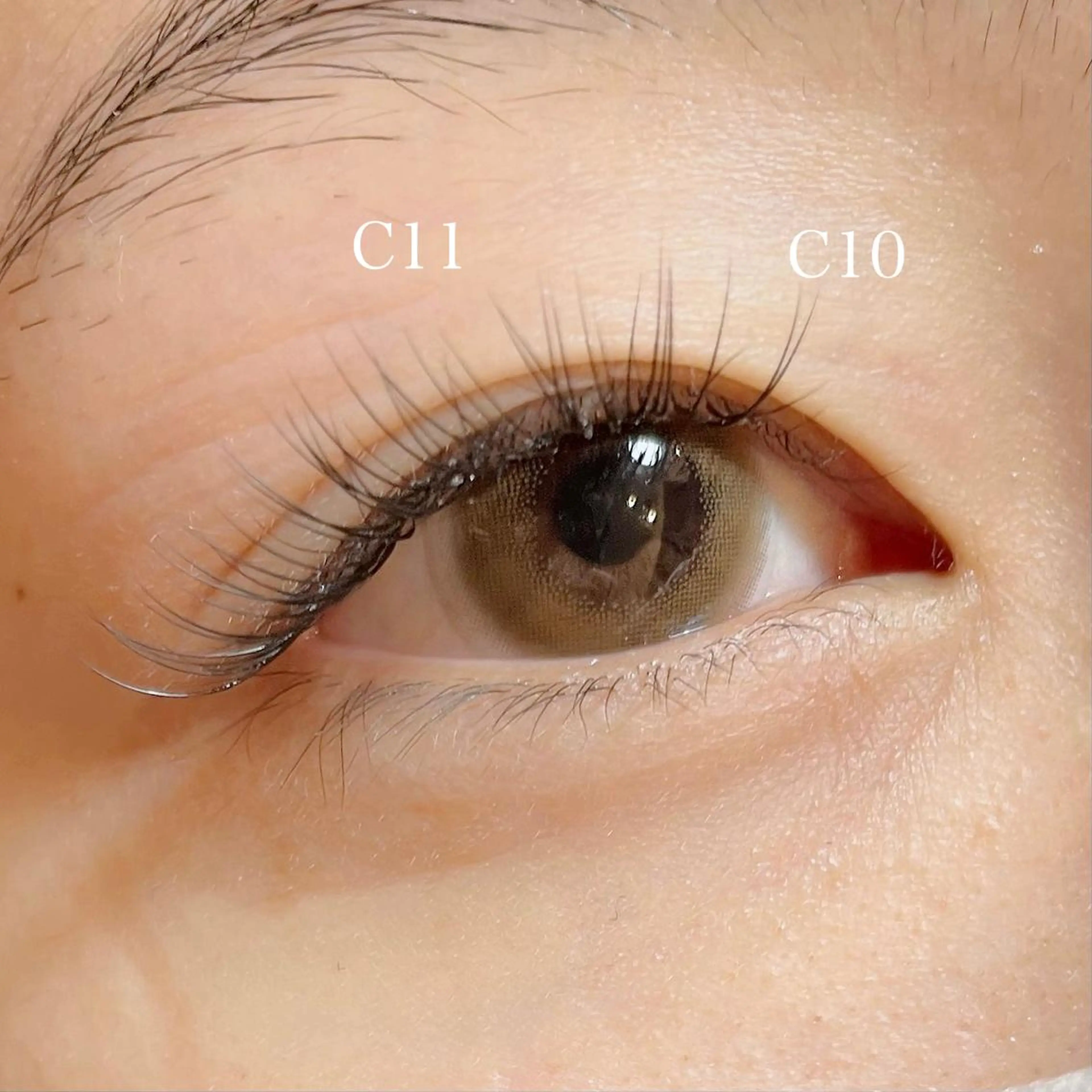 マツエク・マツパ Cカール 玉木 愛の眉毛・アイブロウイメージ