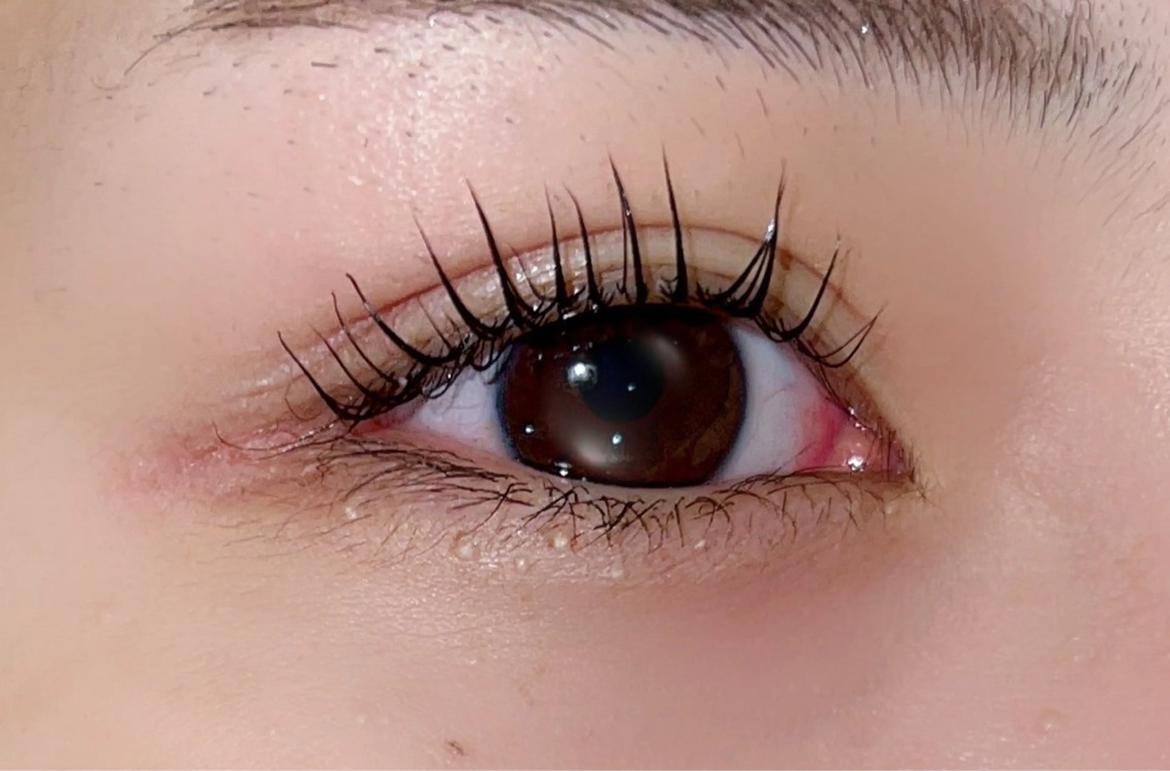 マツエク・マツパ 束感まつ毛 韓国風マツエク まつげパーマ 下まつげエクステ 一重×まつ毛パーマ 韓国まつ毛𖠶ˬ𖠶 /青木楓🍁❤️のマツエク・マツパデザイン