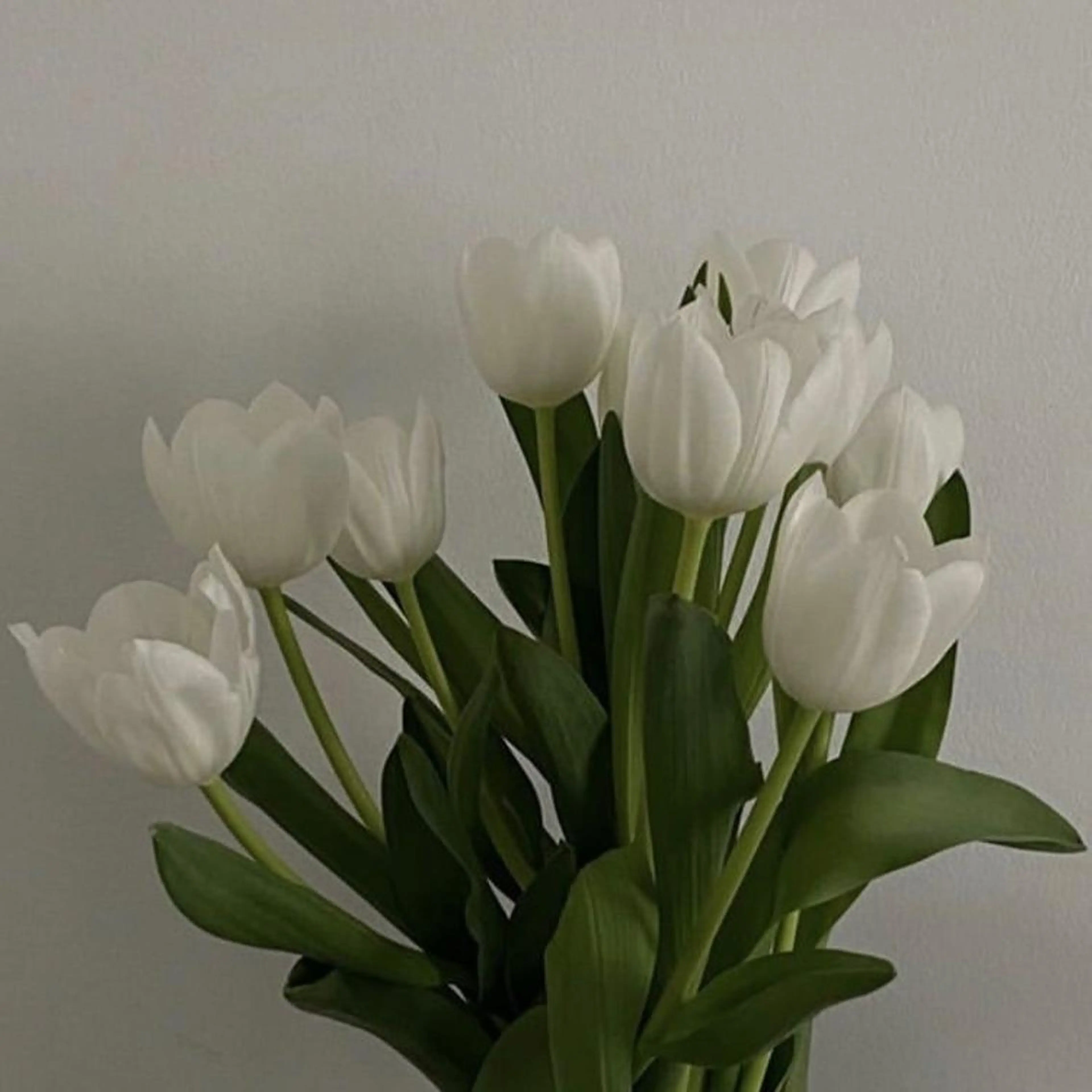 🦋美肌サロン. maho🦋のエステ・リラクイメージ