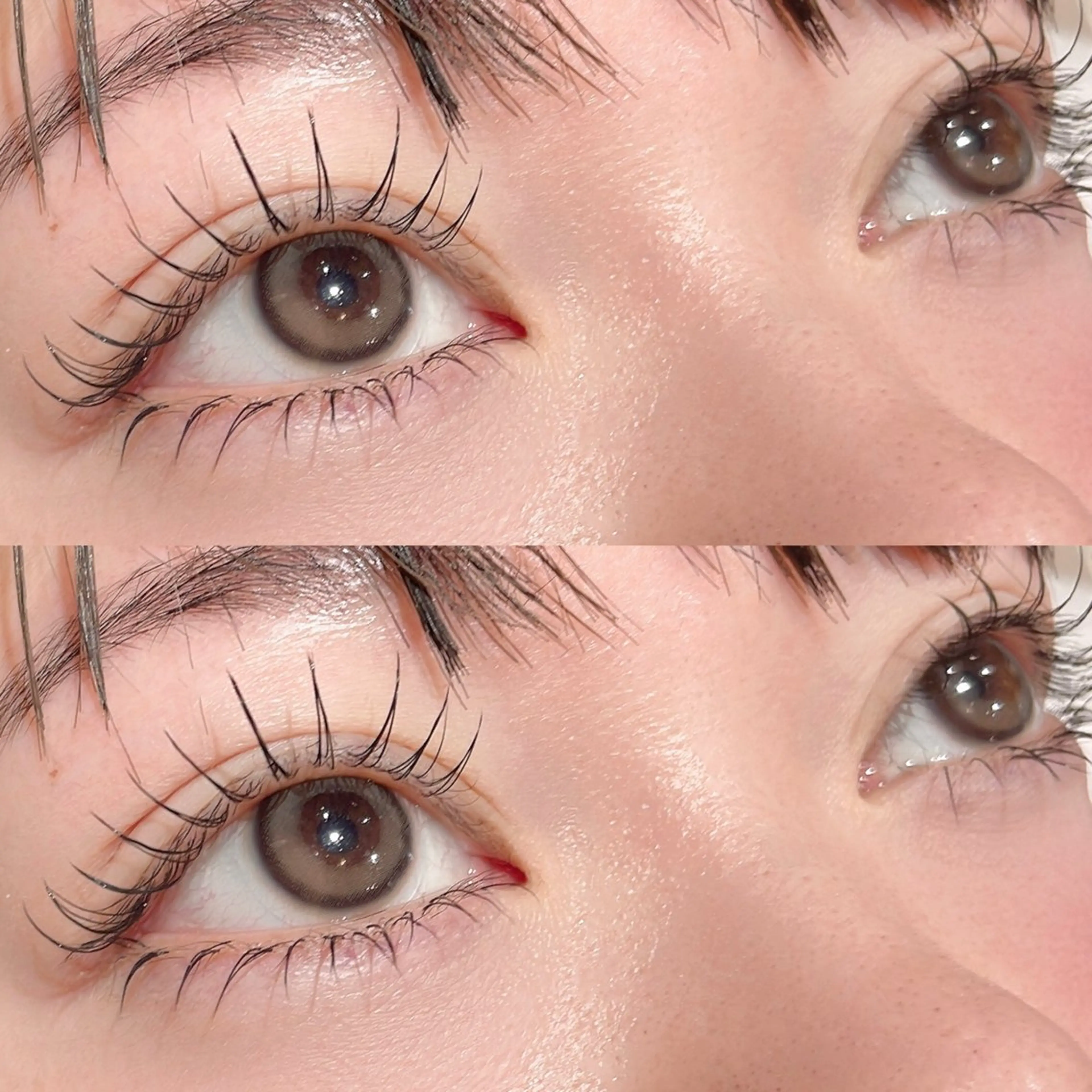 🐥フラットラッシュ100本【オフなし】の写真