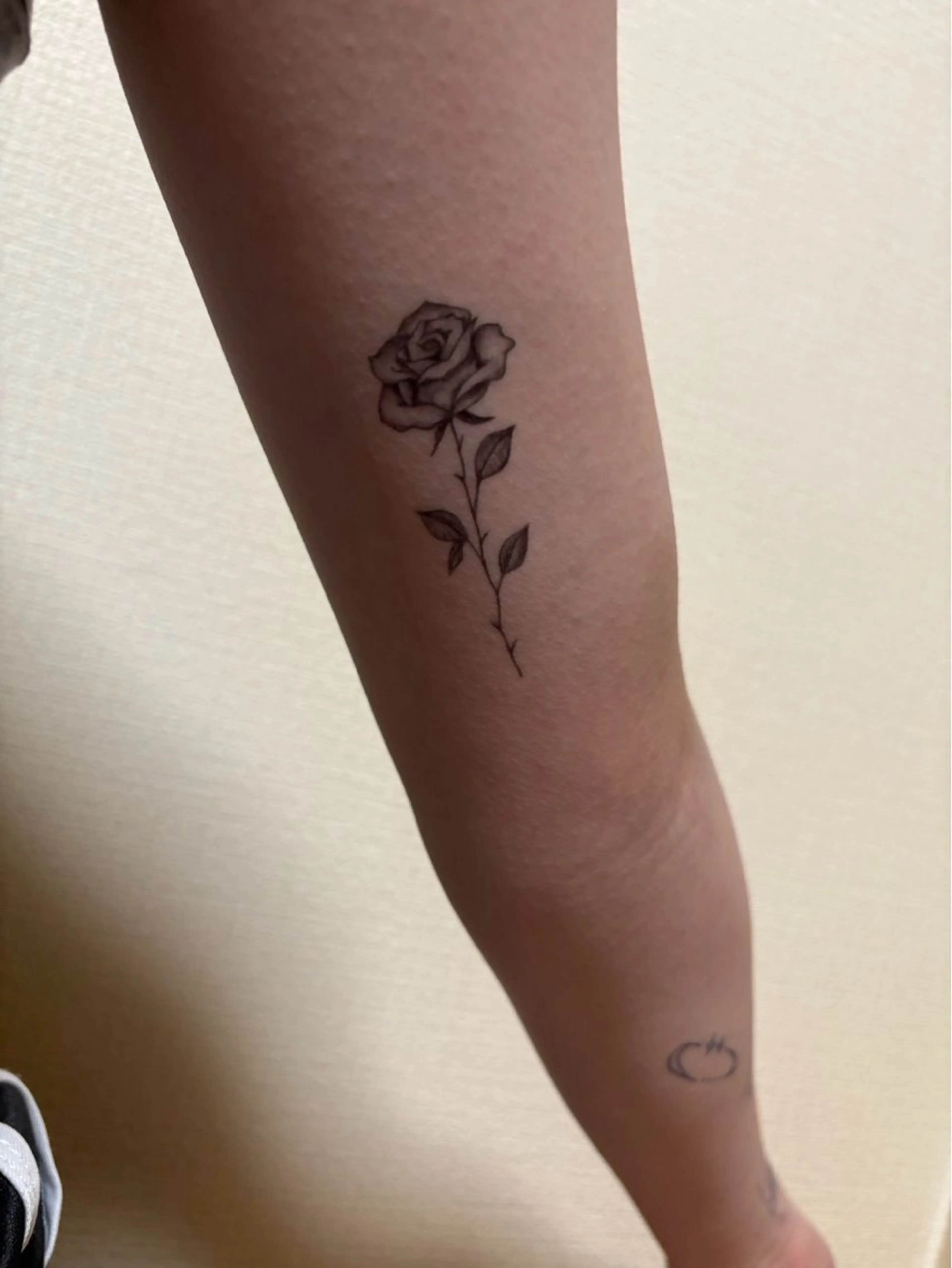 brow bar tokyo所属・brow bar tokyo【乃木坂】のマツエク・マツパデザイン