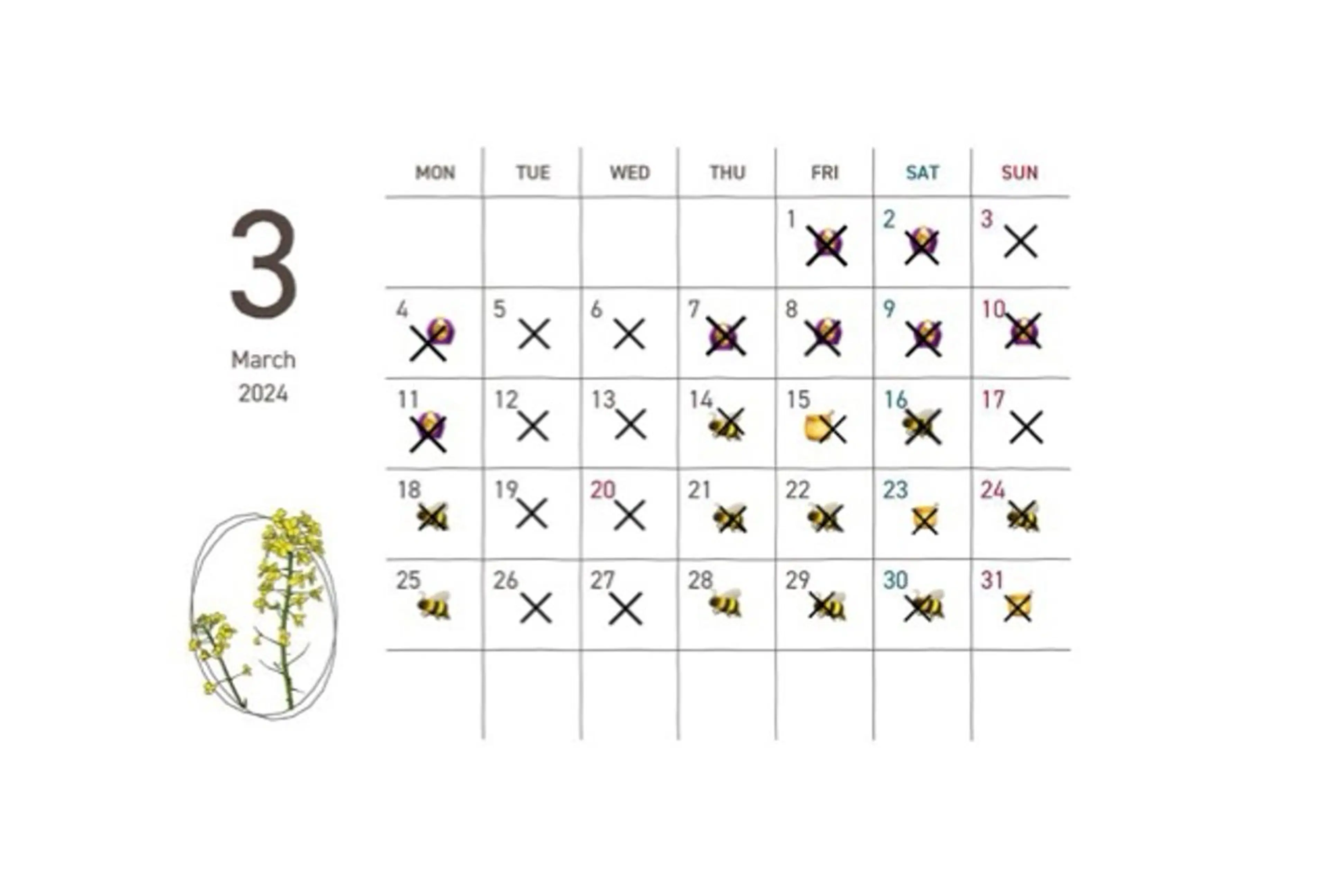 伊佐 愛のヘアスタイル