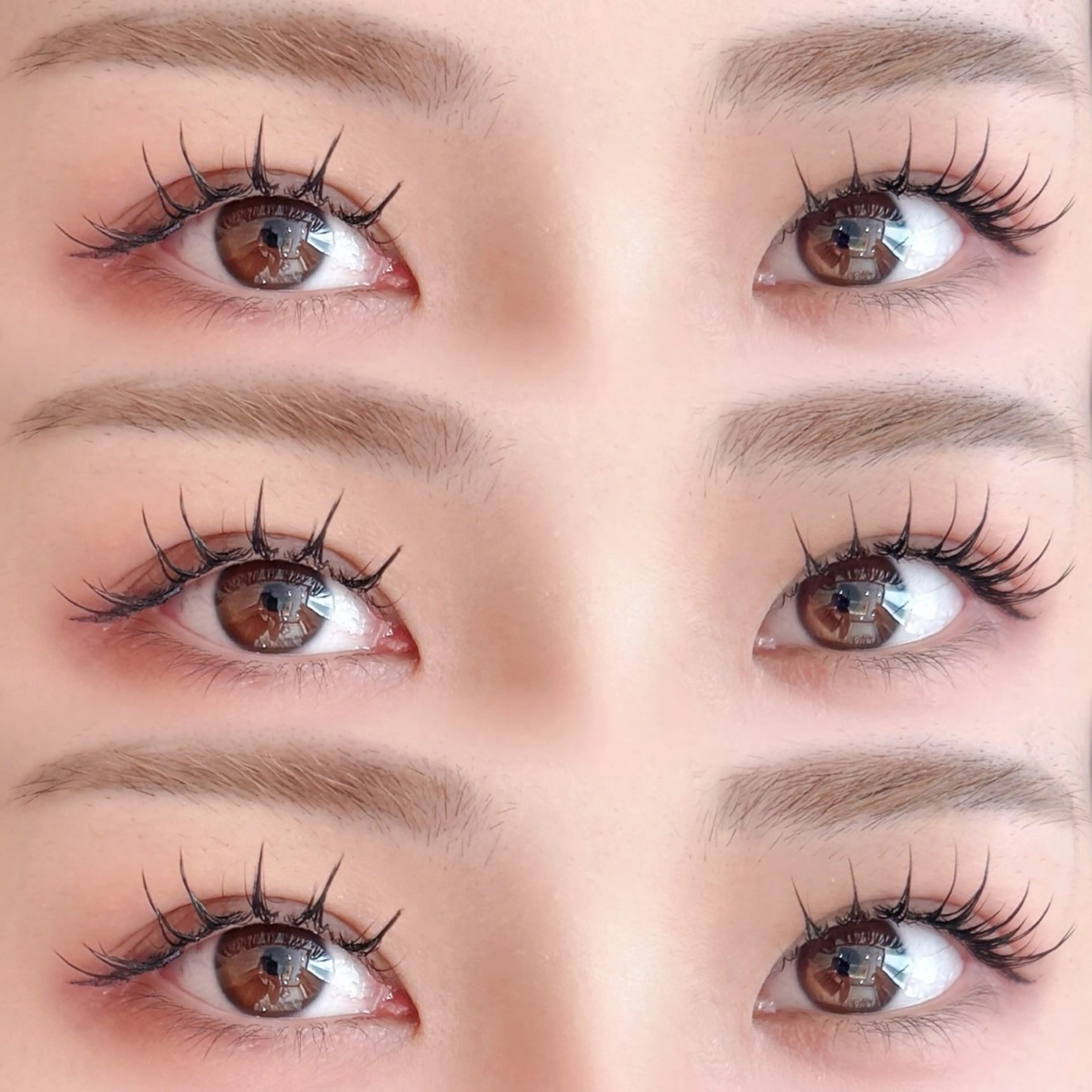 マツエク・マツパ マツエク 【銀座/パリエク】 sakura🎀🏰の眉毛・アイブロウイメージ