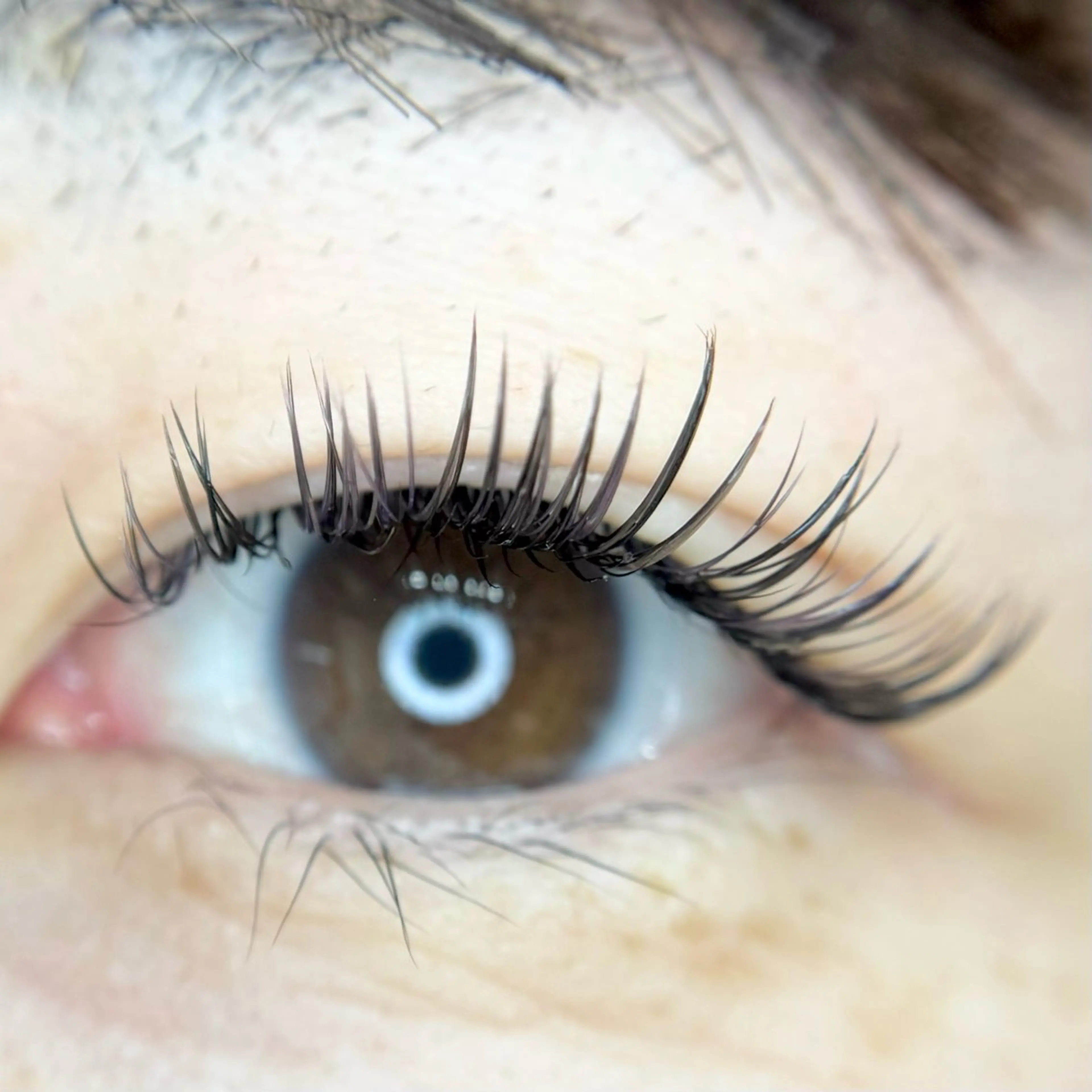 マツエク・マツパ f.【エフドット】 二俣川のマツエク・マツパデザイン